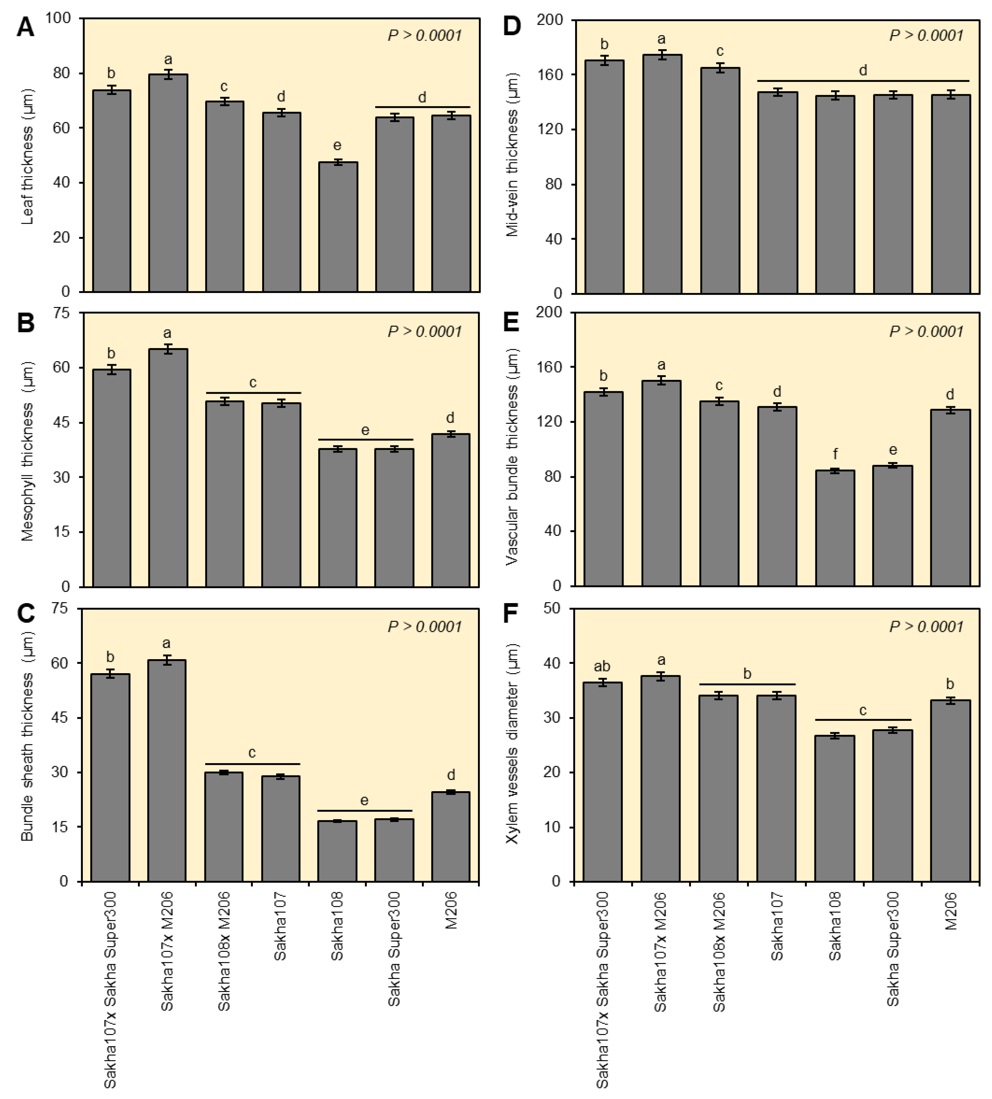 Agronomy 13 02542 g004