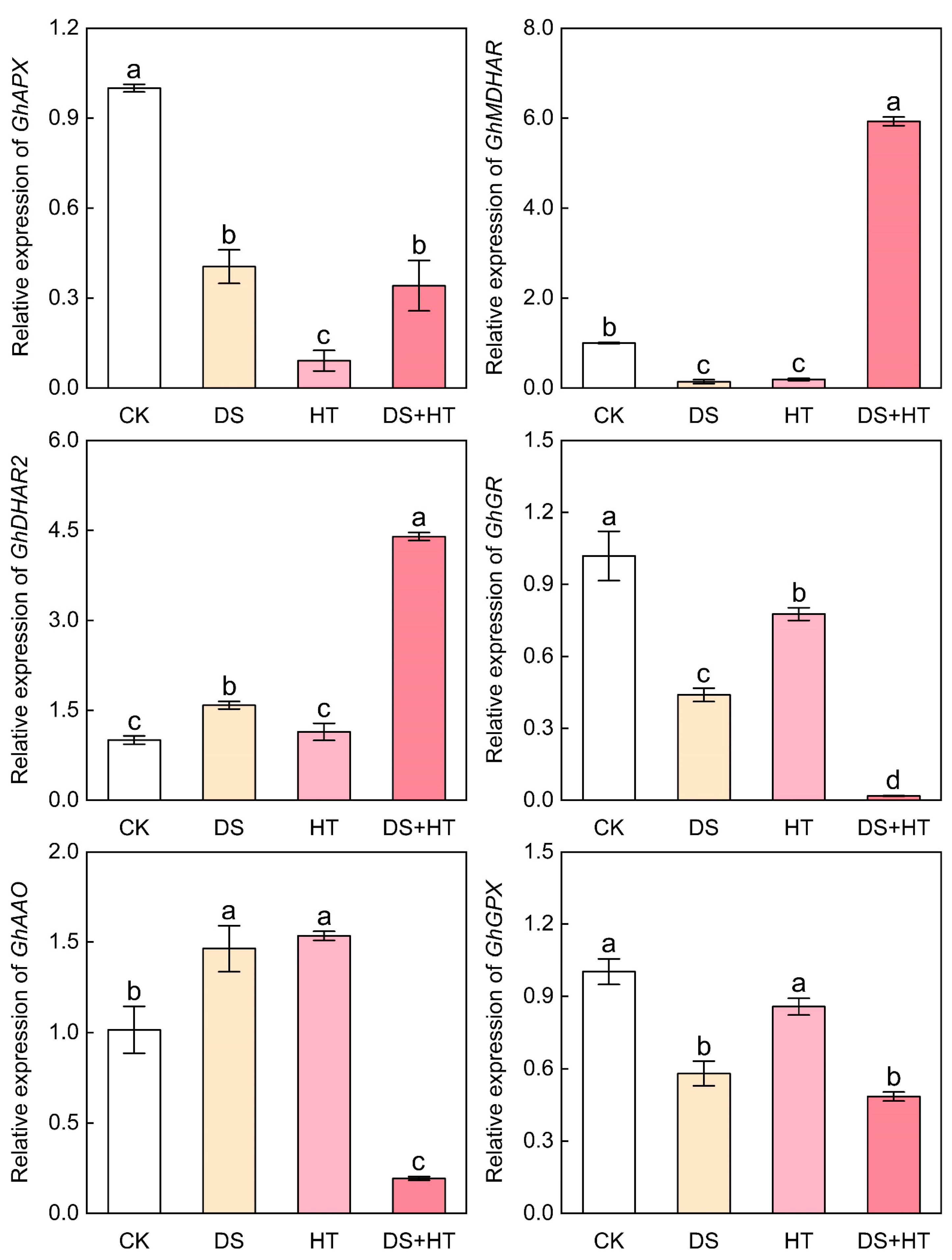 Agronomy 13 02550 g007