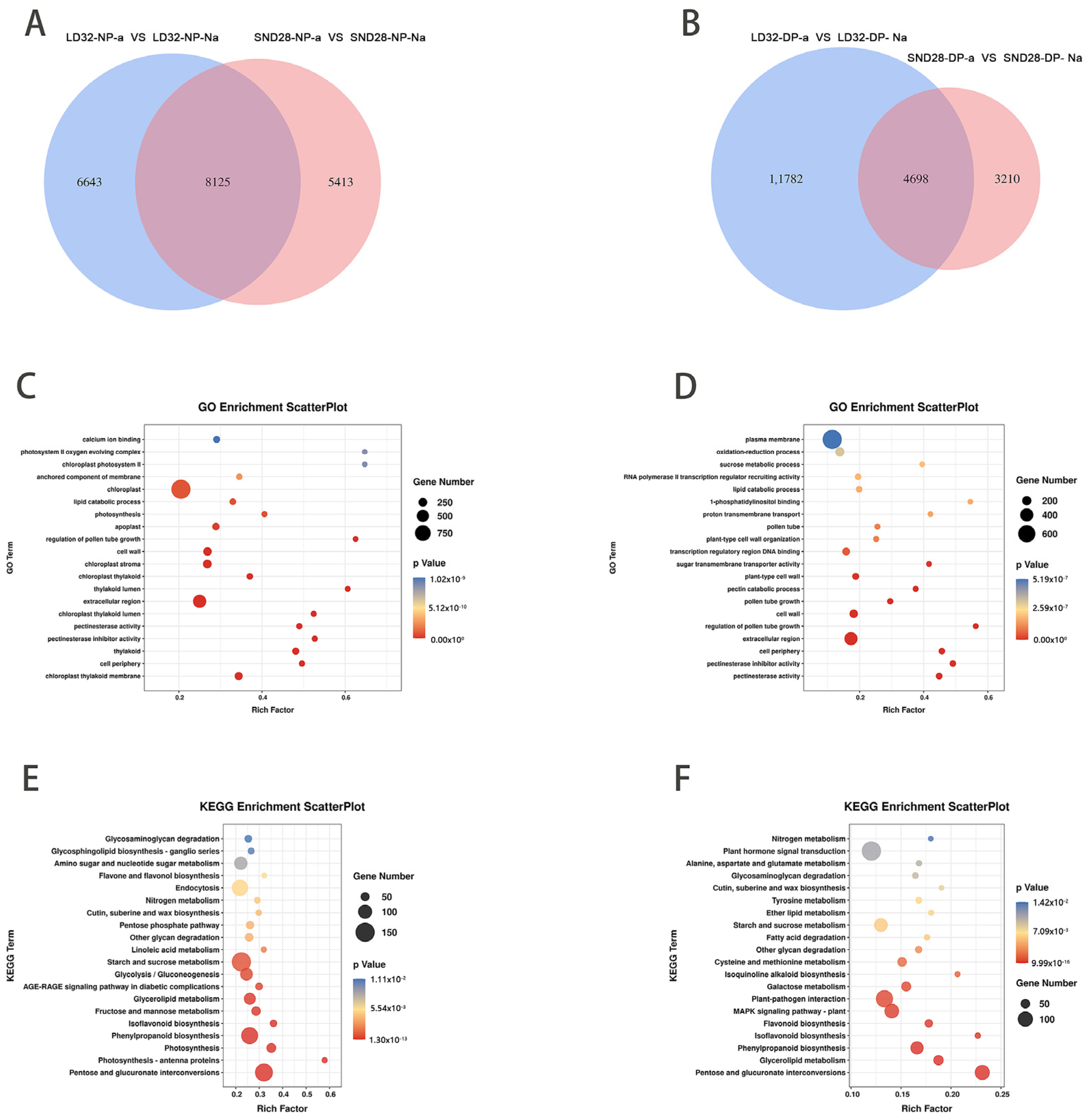 Agronomy 13 02561 g002