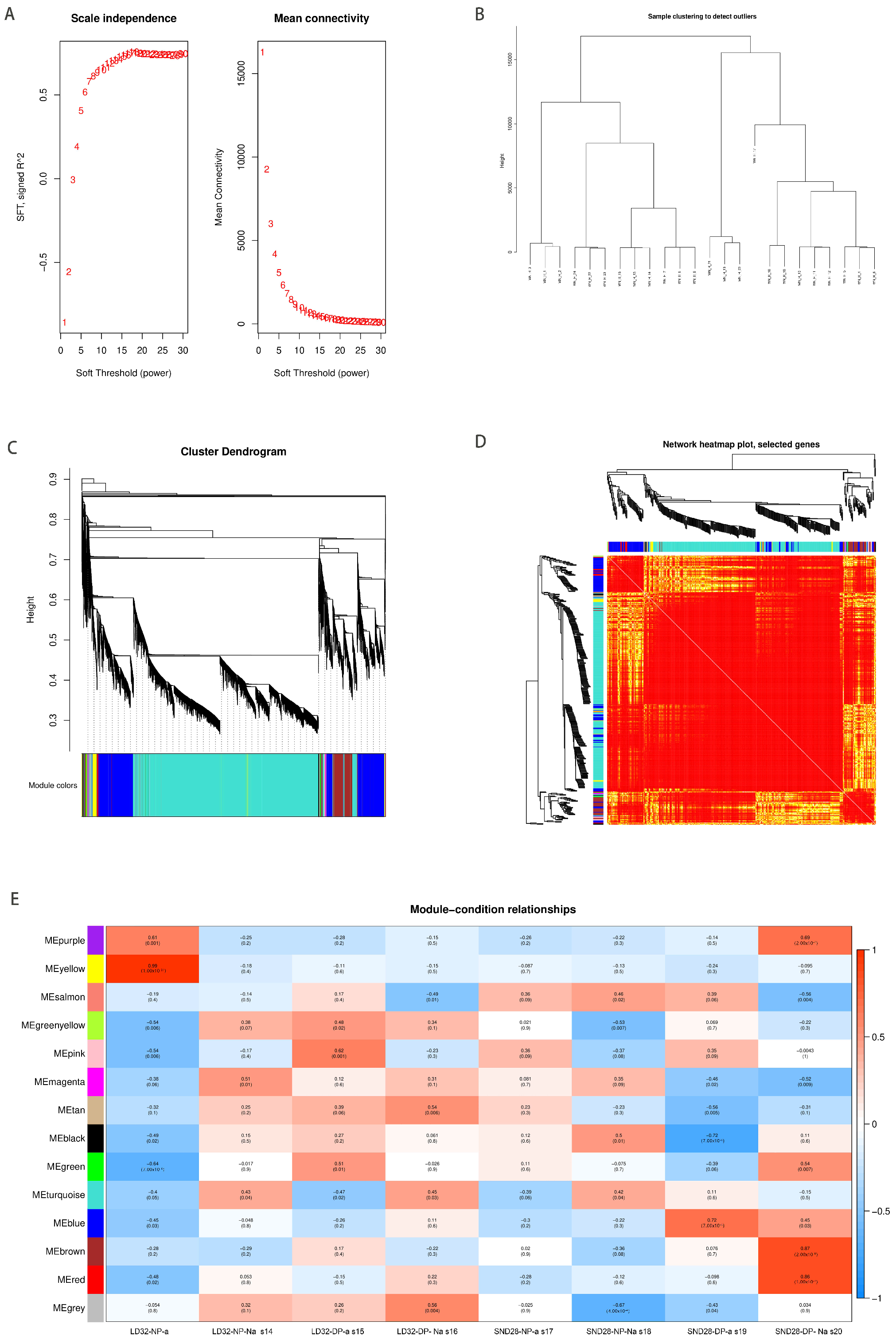 Agronomy 13 02561 g005