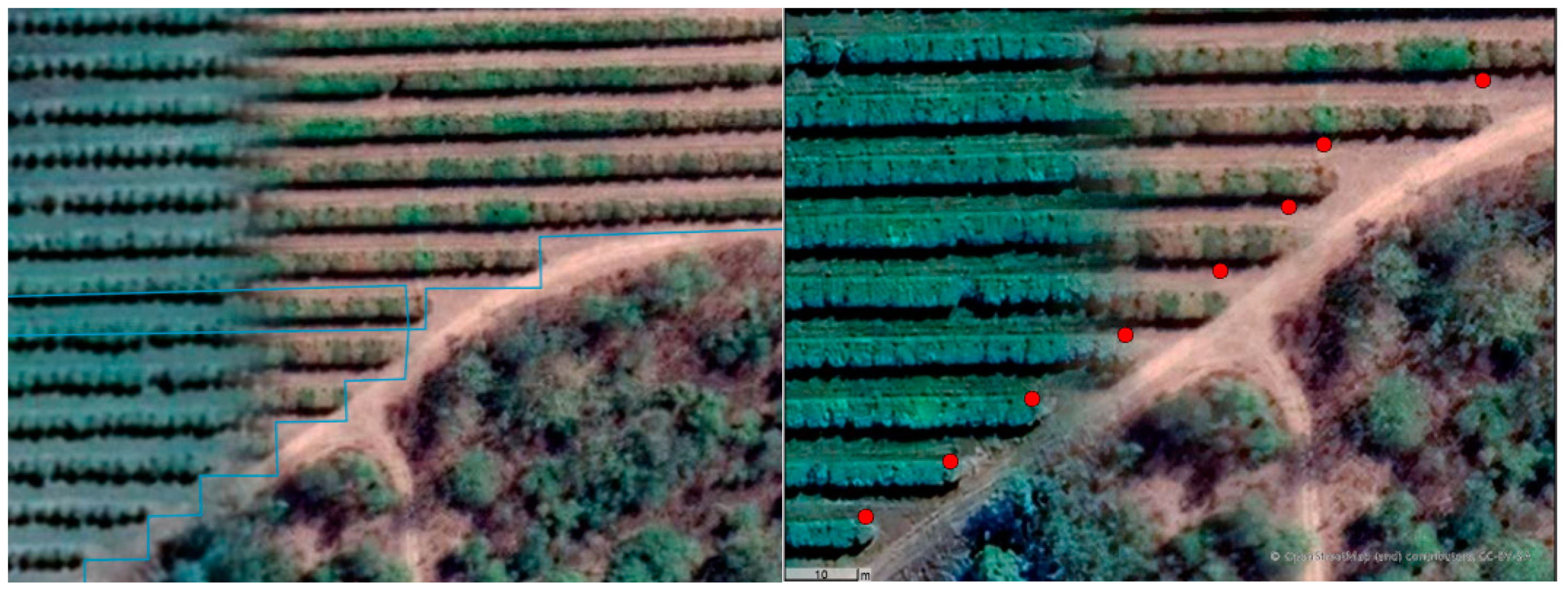 Agronomy 13 02563 g008 Agronomy 13 02563 g008