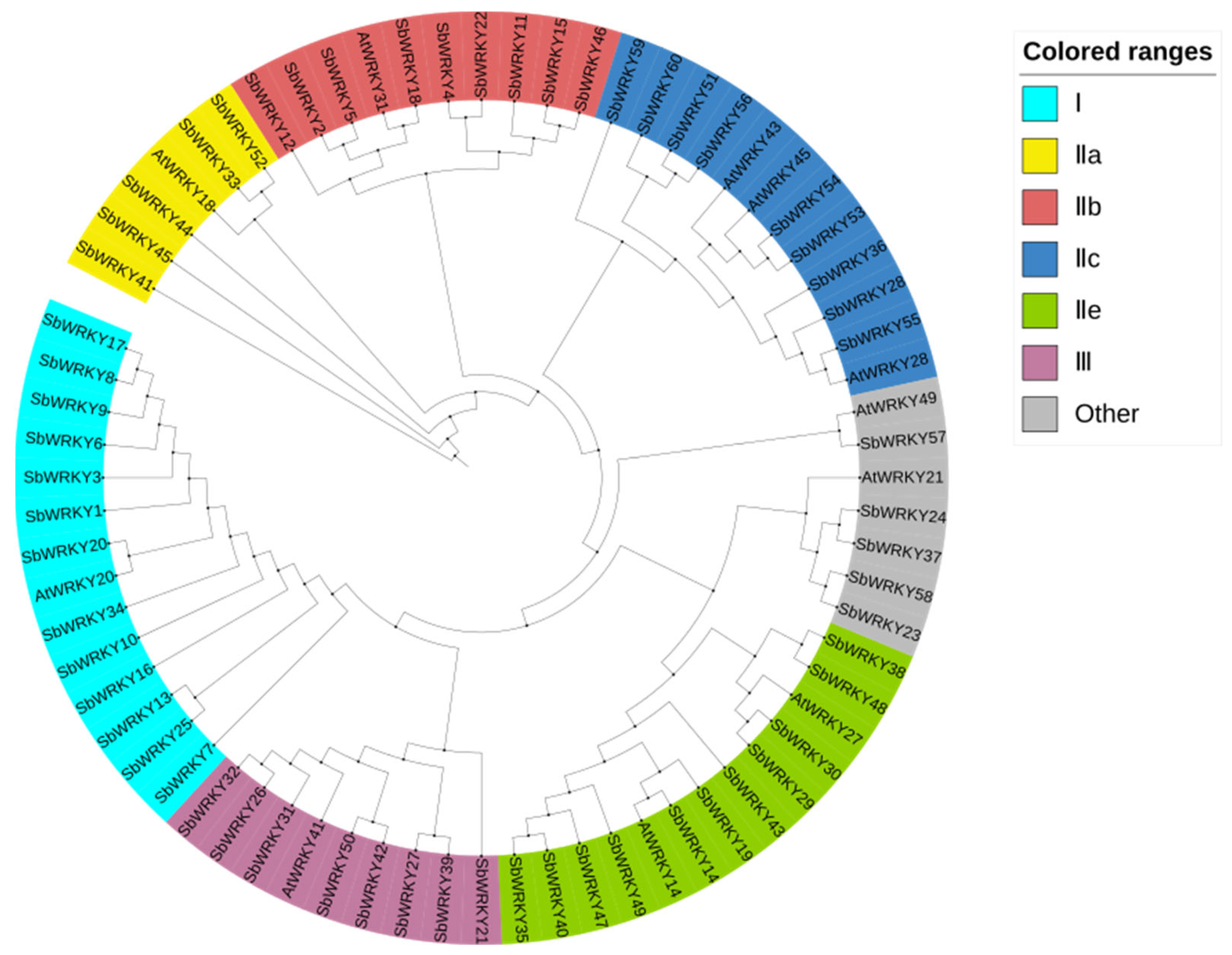 Agronomy 13 02564 g002