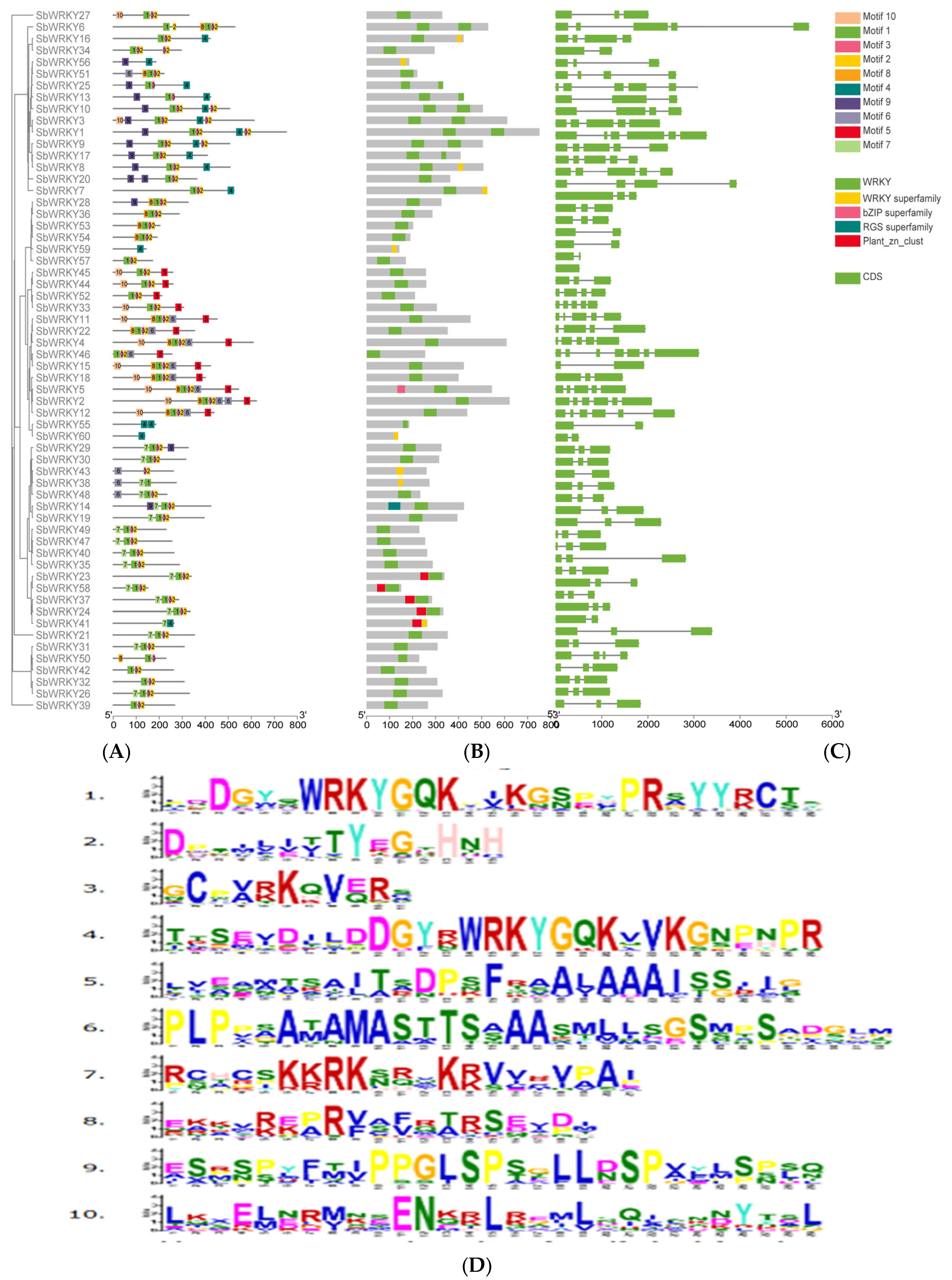 Agronomy 13 02564 g004