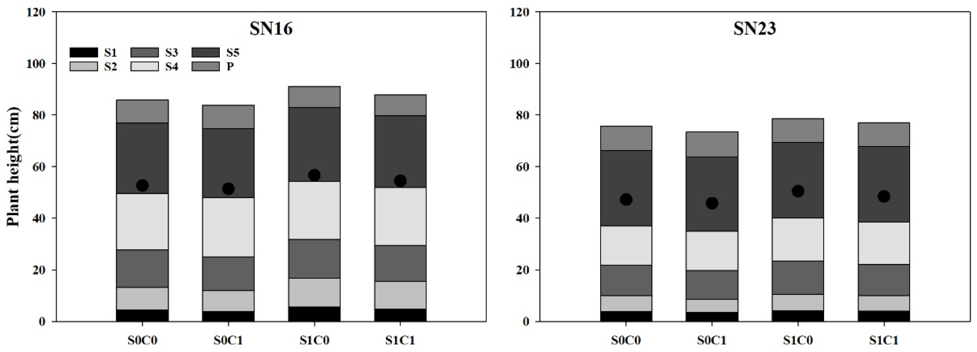 Agronomy 13 02565 g002