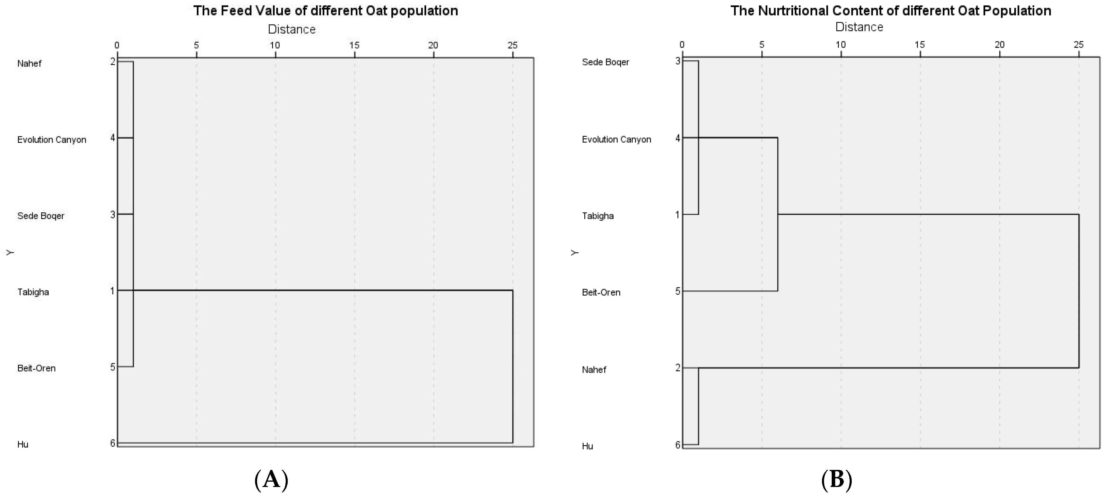Agronomy 13 02575 g004