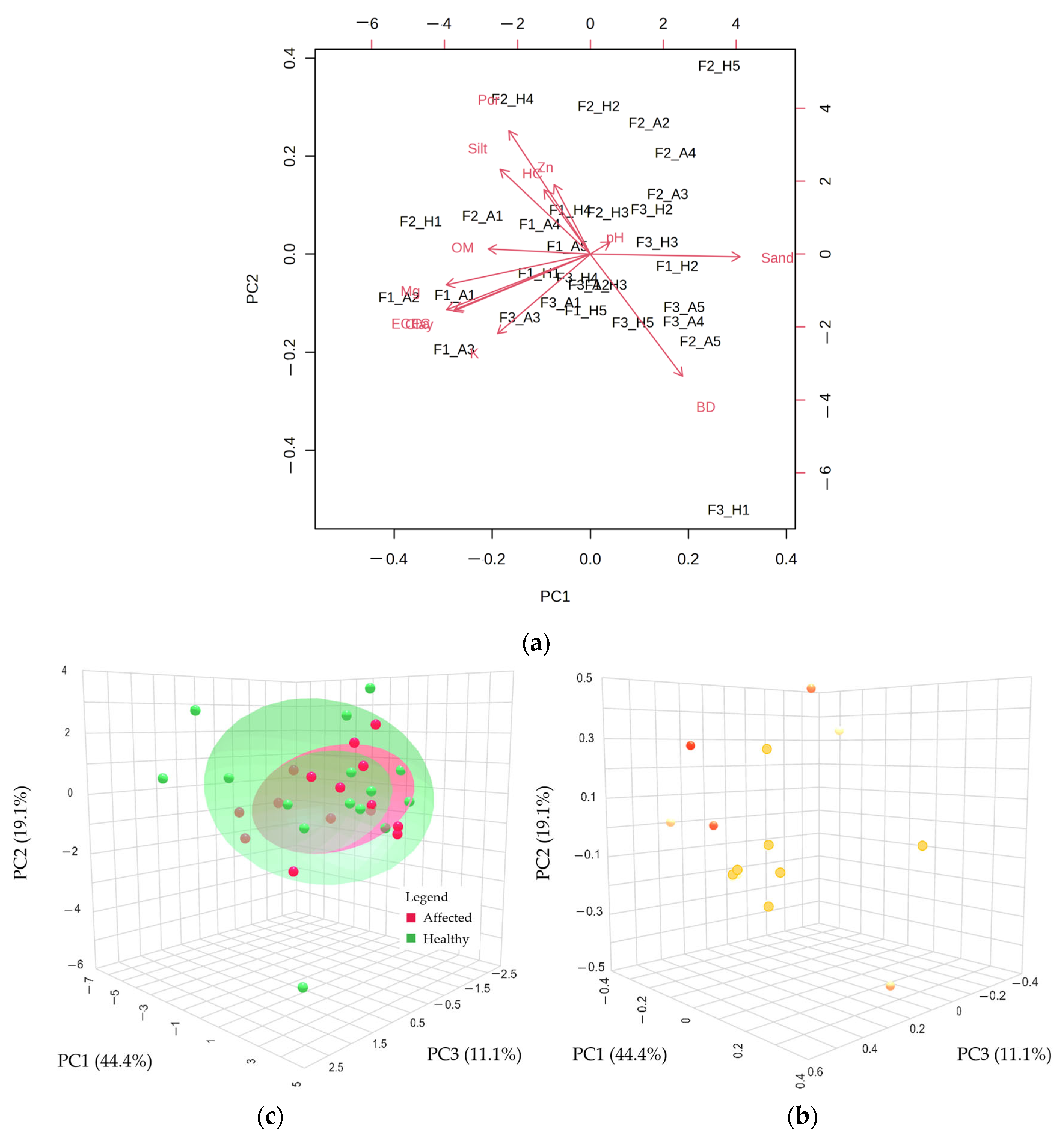 Agronomy 13 02588 g002