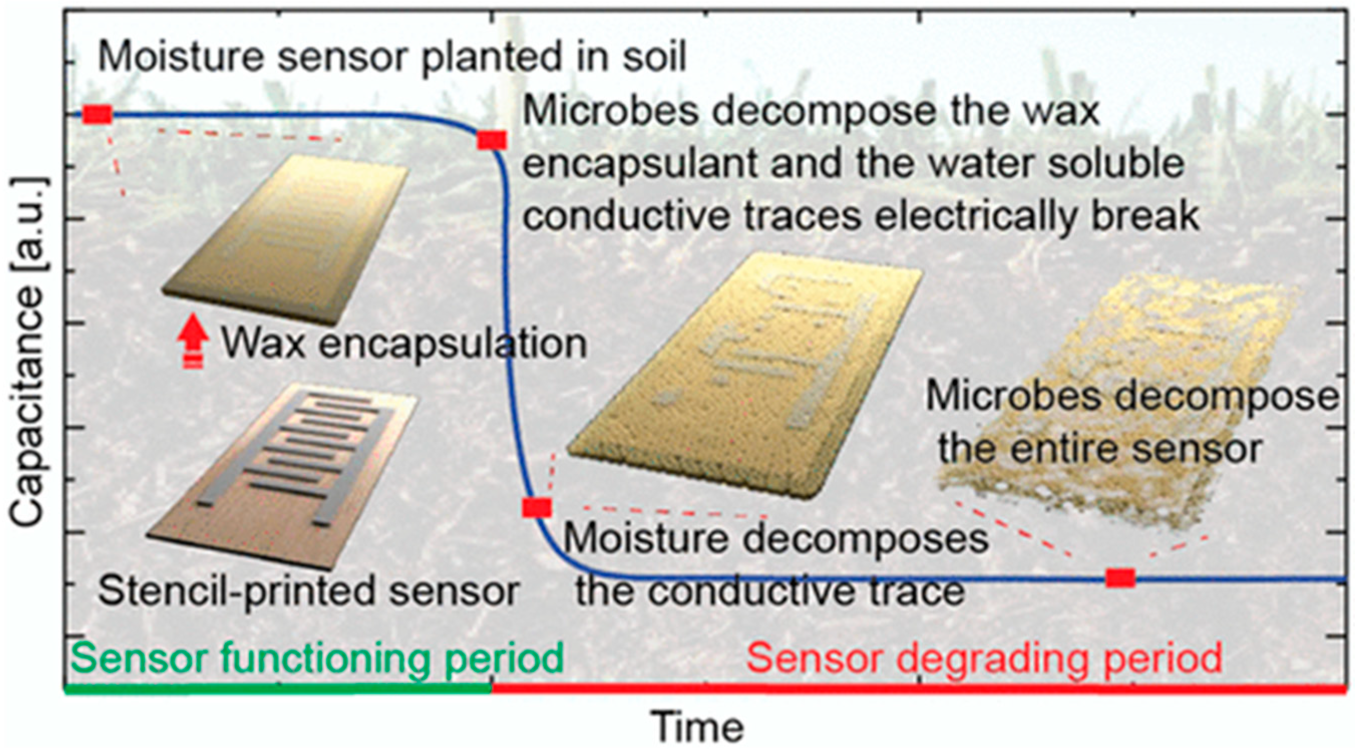 Agronomy 13 02603 g004 Agronomy 13 02603 g004