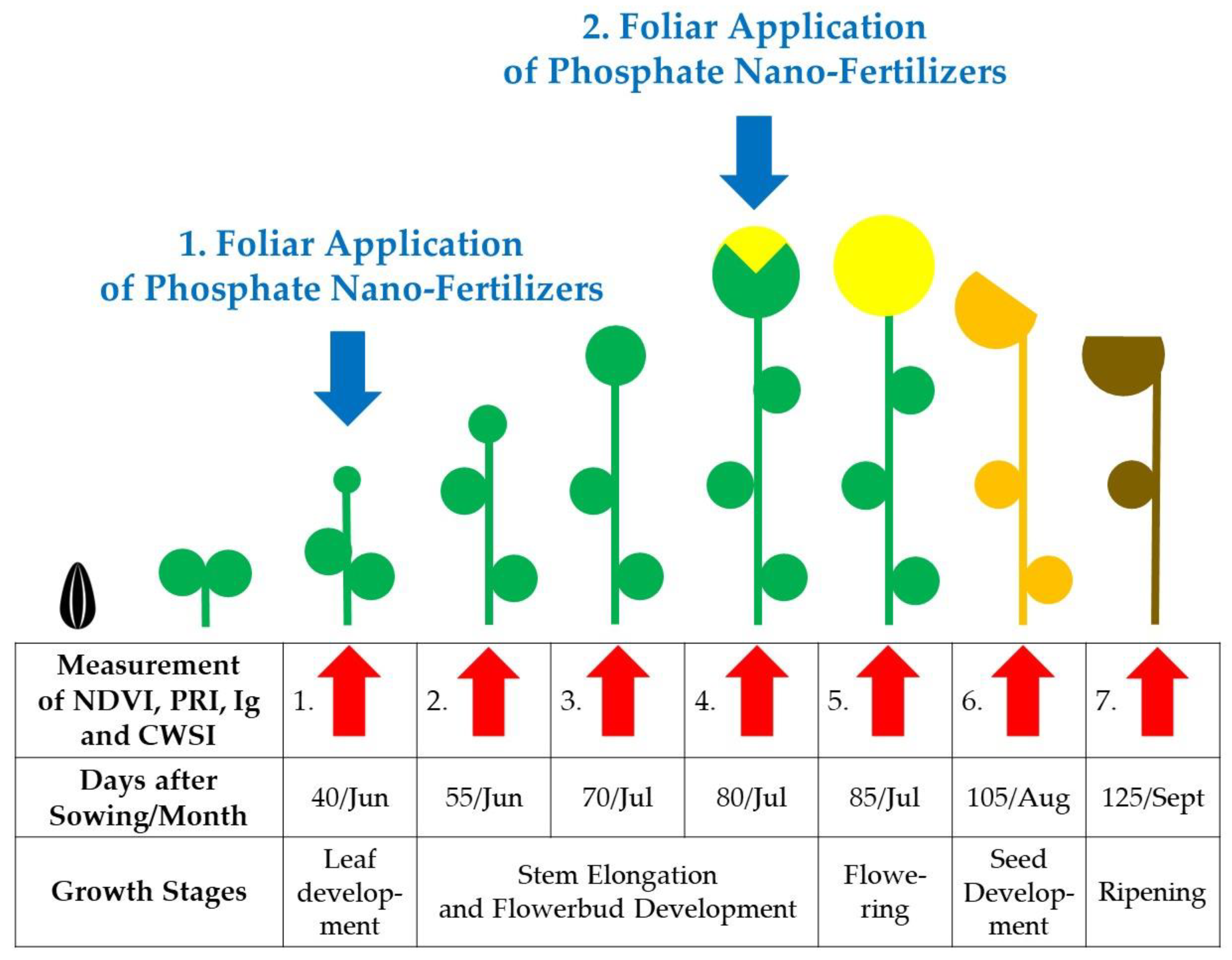 Agronomy 13 02606 g002