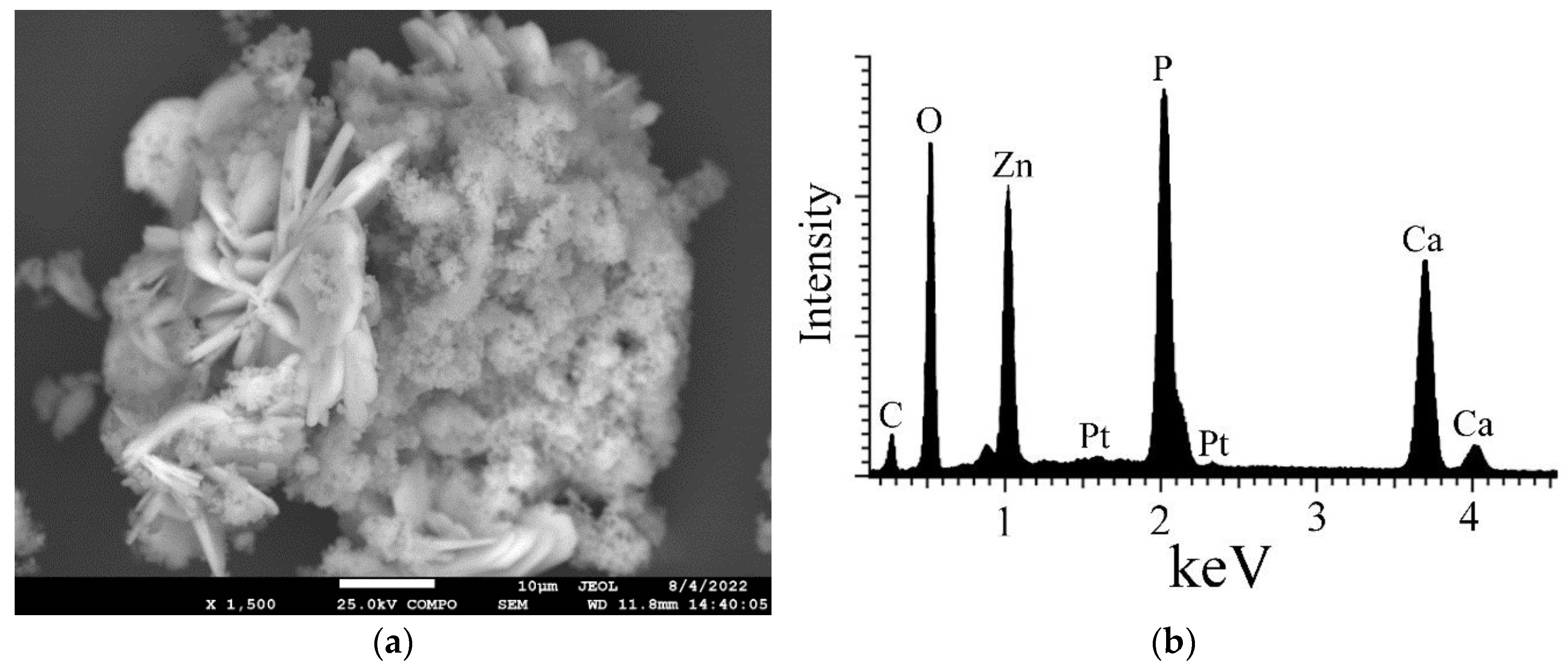 Agronomy 13 02606 g004