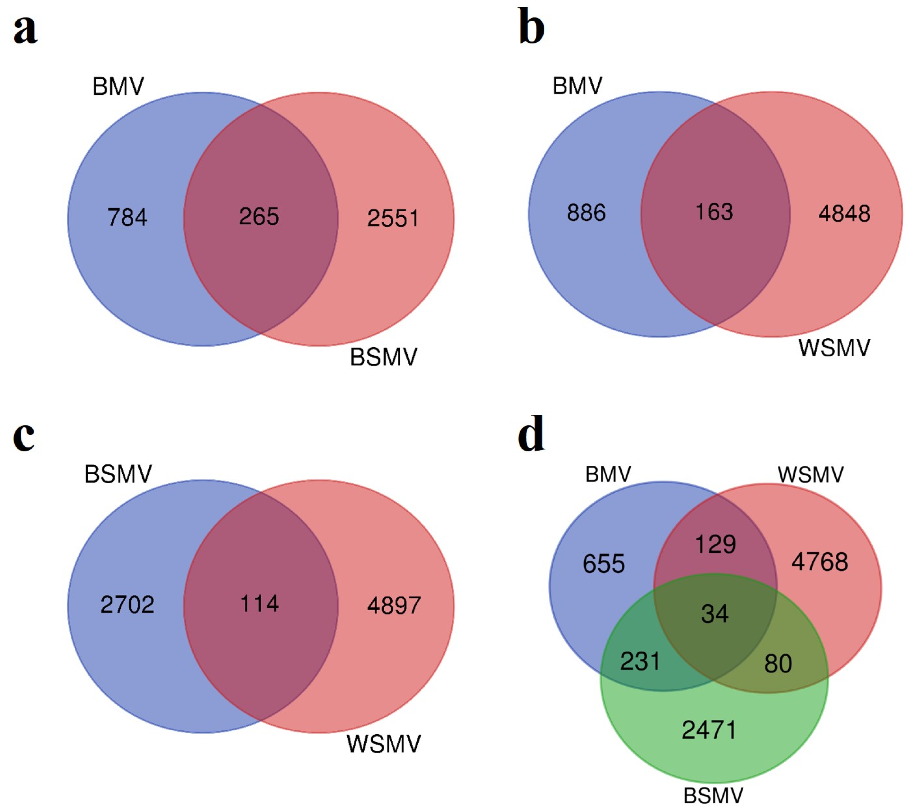 Agronomy 13 02610 g001