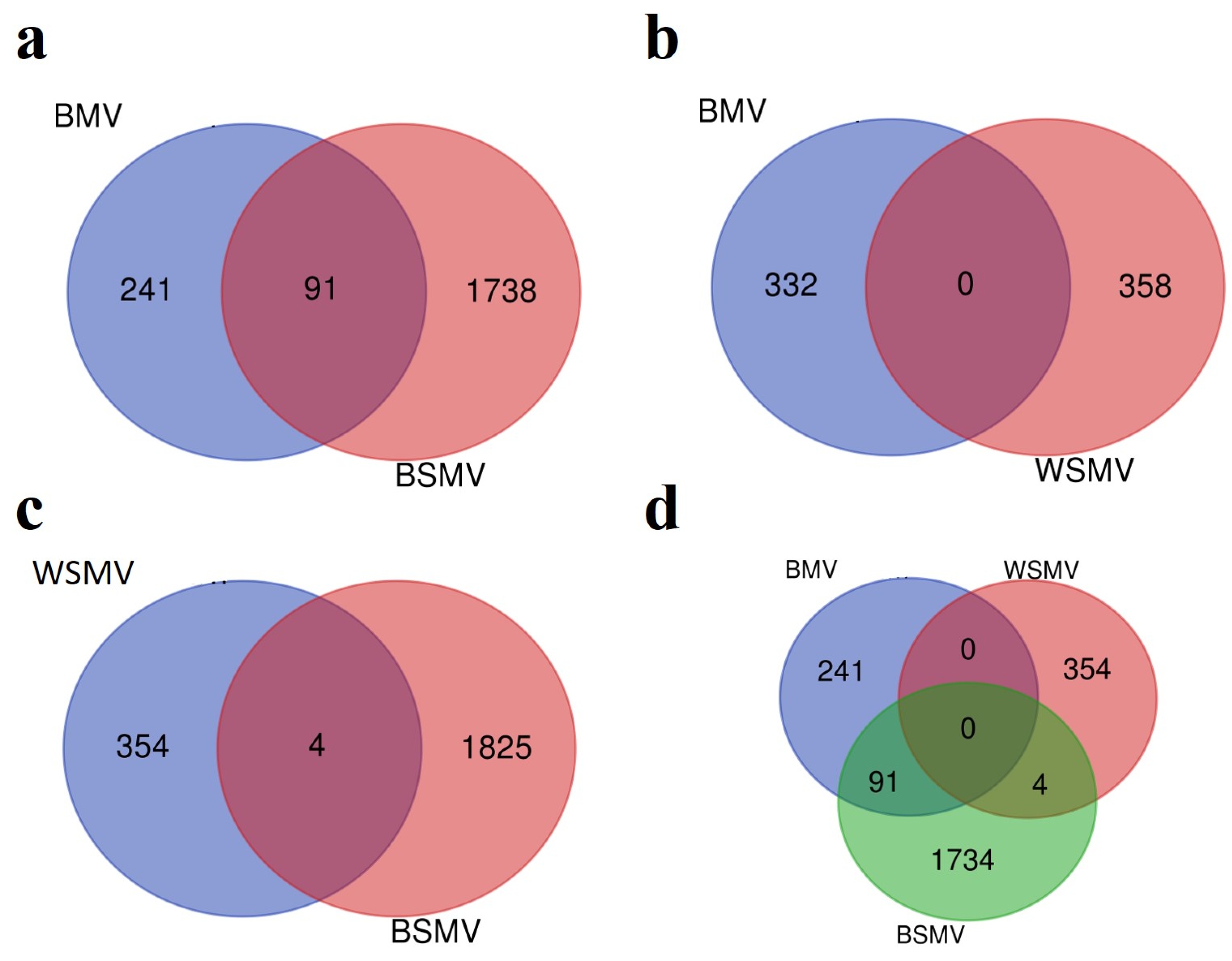 Agronomy 13 02610 g003