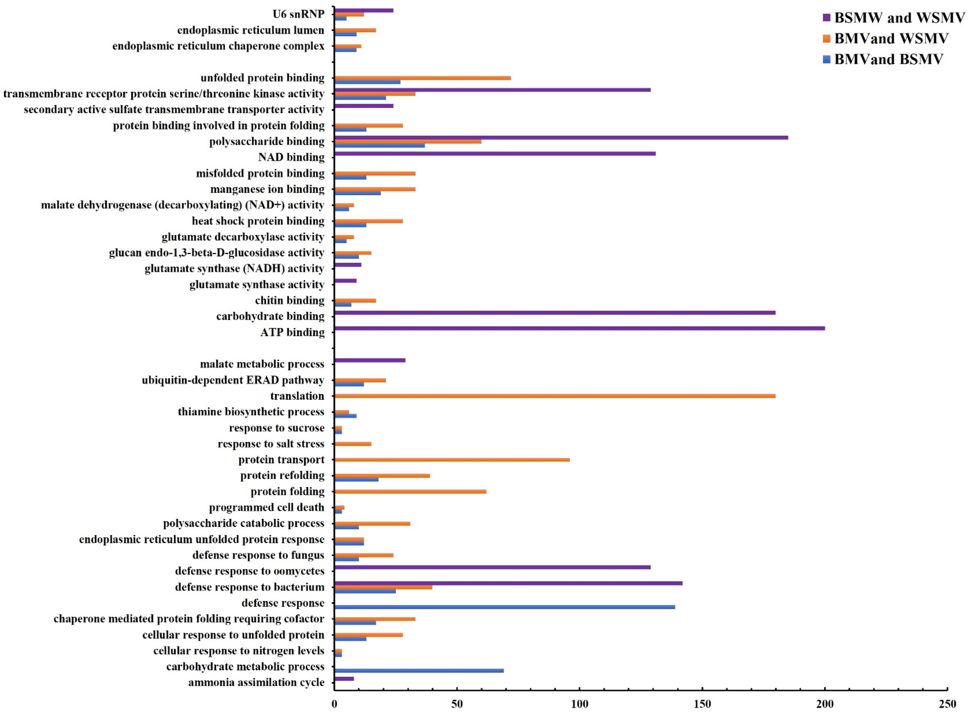 Agronomy 13 02610 g004