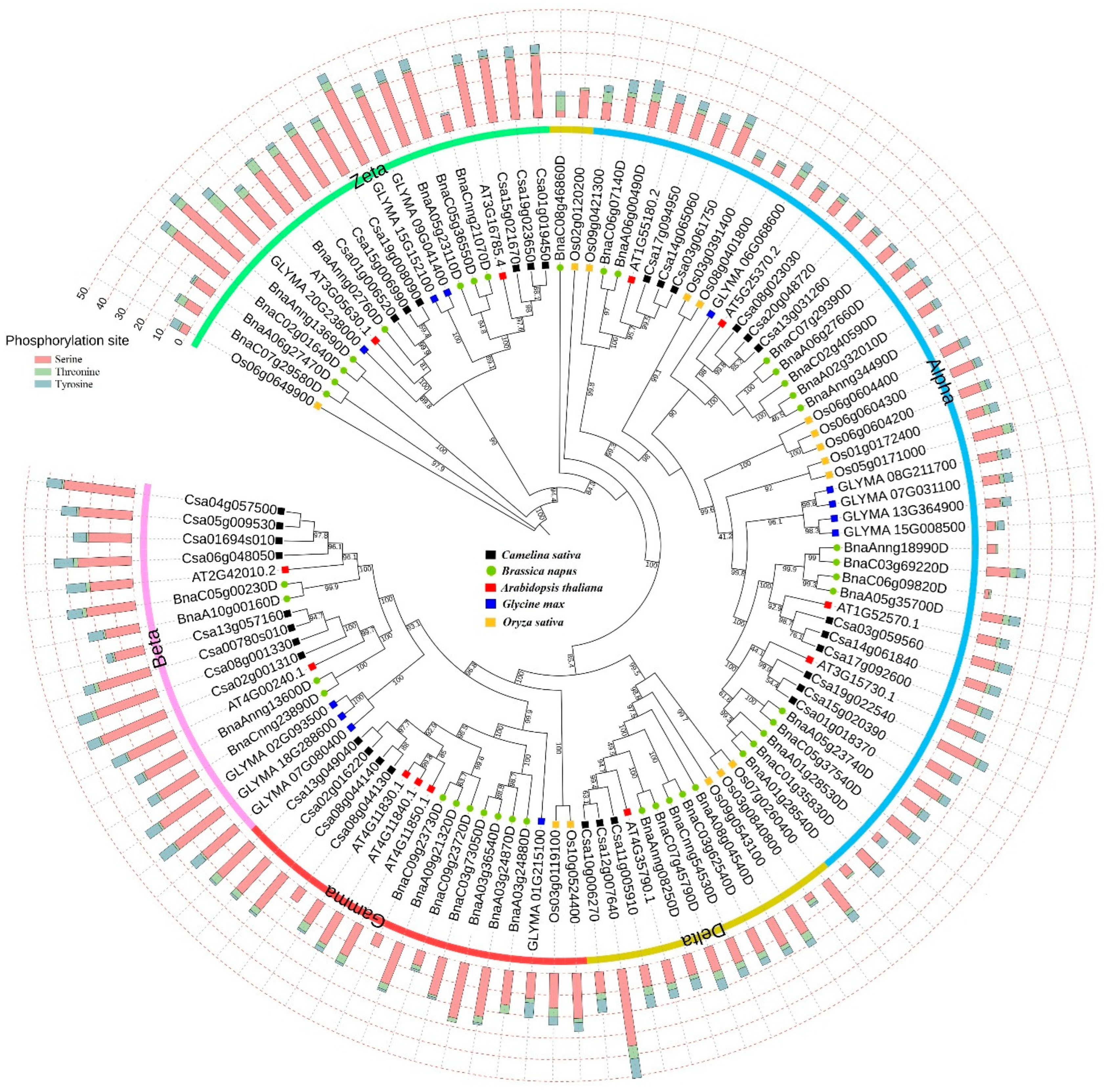 Agronomy 13 02616 g001 Agronomy 13 02616 g001