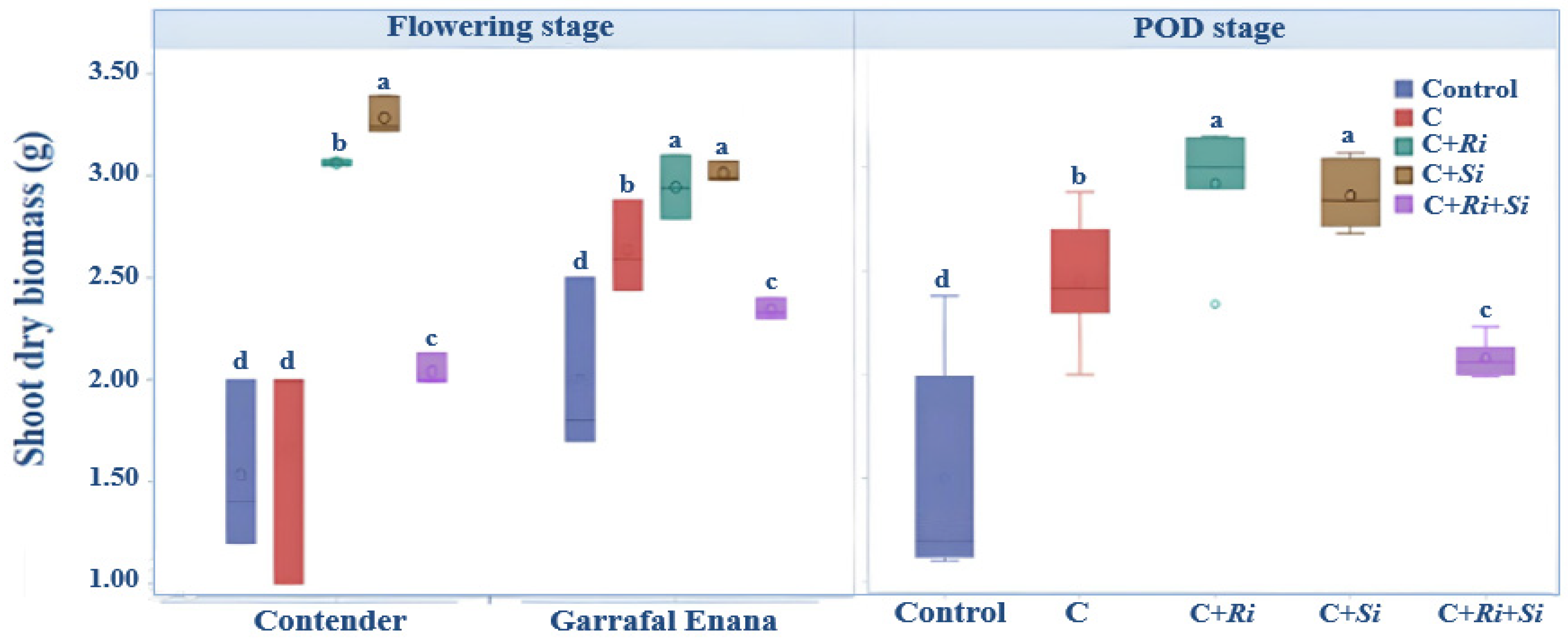 Agronomy 13 02619 g001