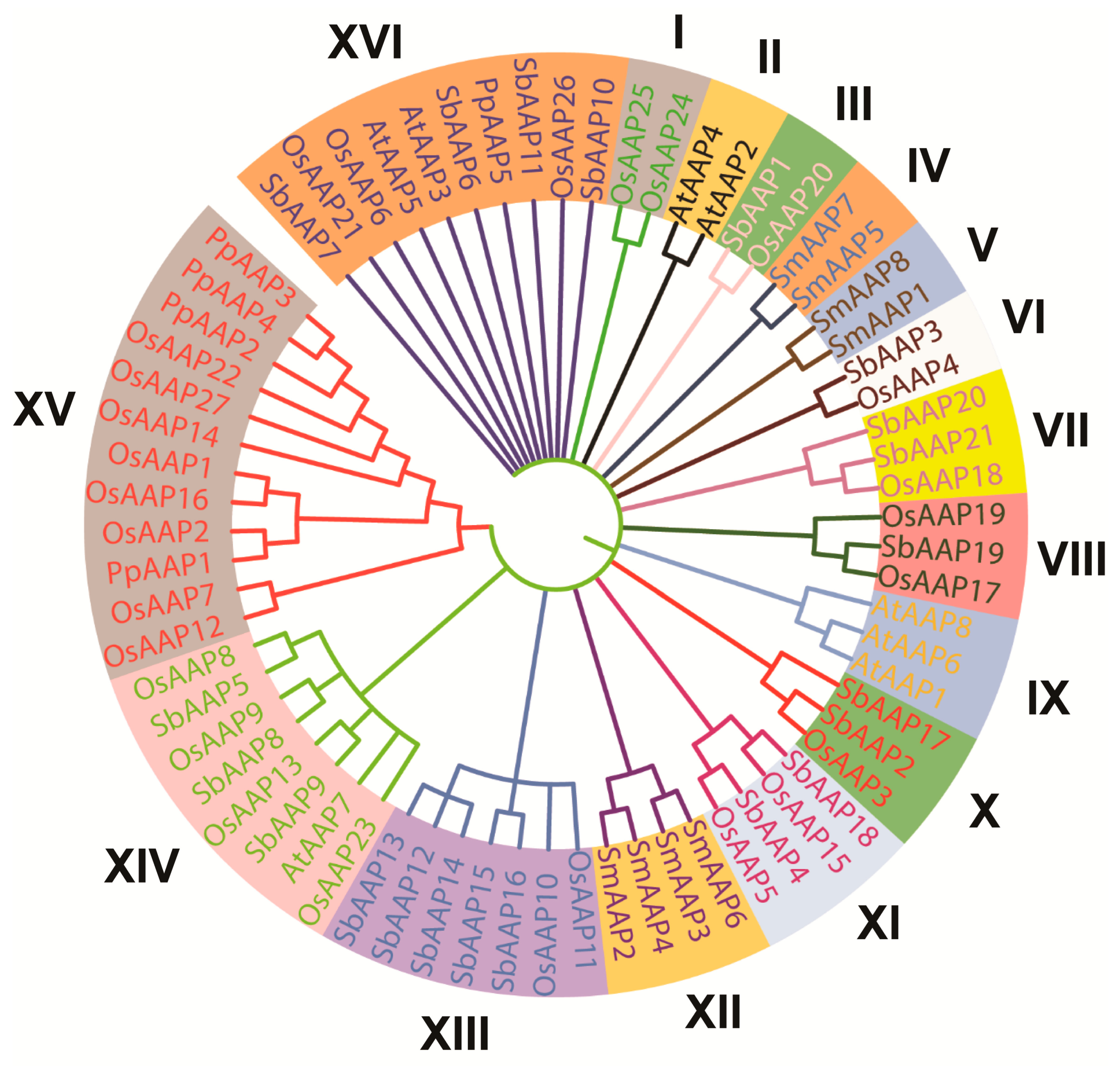 Agronomy 13 02629 g001 Agronomy 13 02629 g001