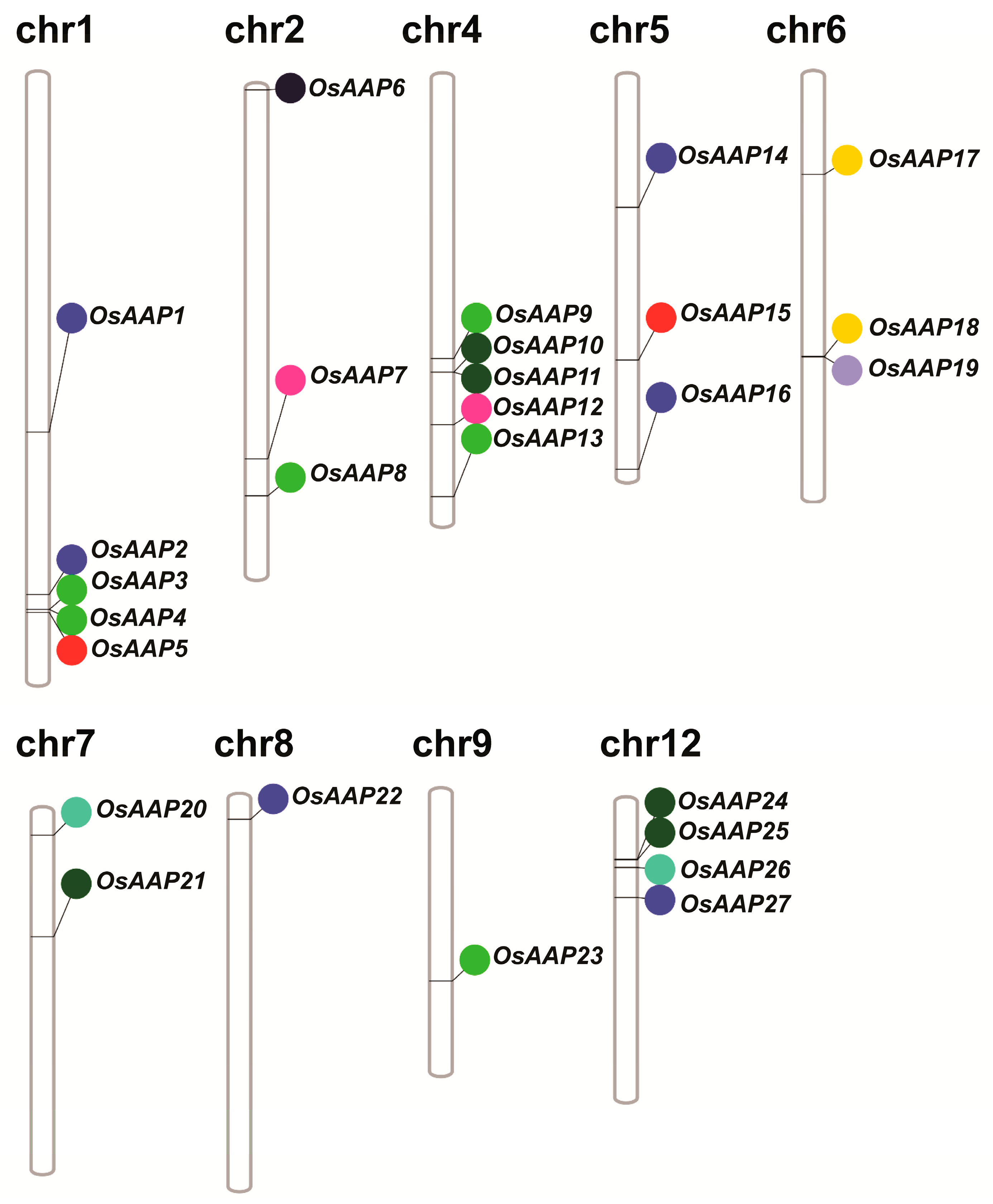 Agronomy 13 02629 g002 Agronomy 13 02629 g002