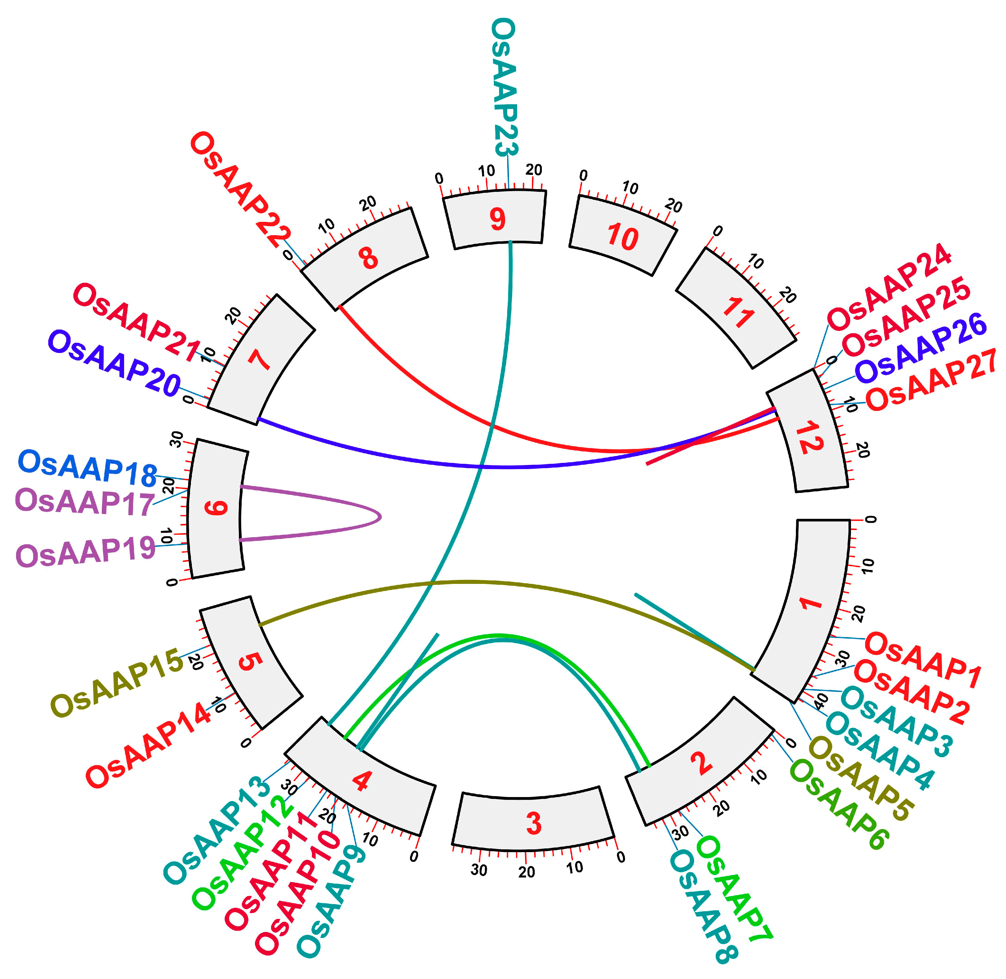 Agronomy 13 02629 g003 Agronomy 13 02629 g003