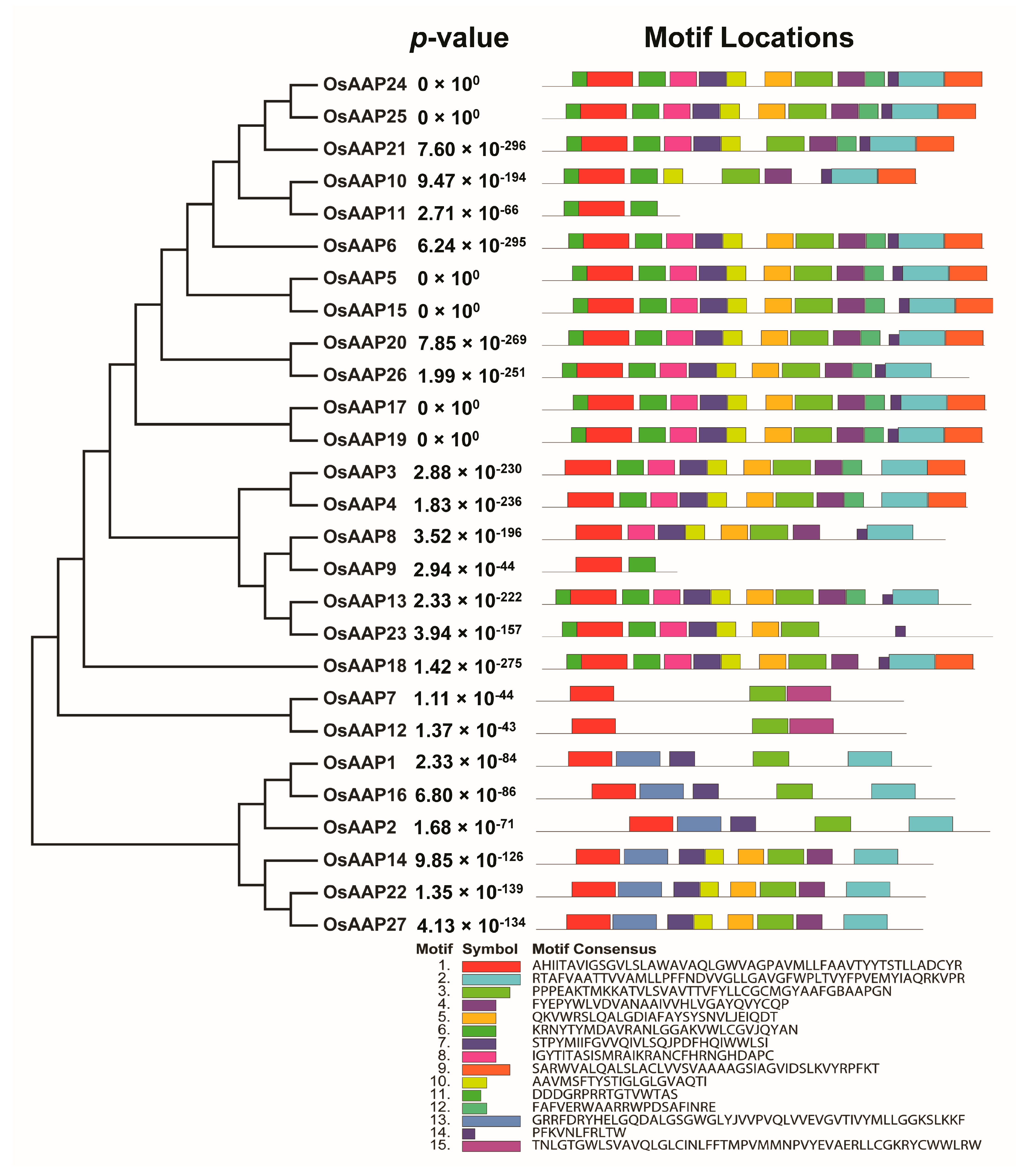 Agronomy 13 02629 g006 Agronomy 13 02629 g006