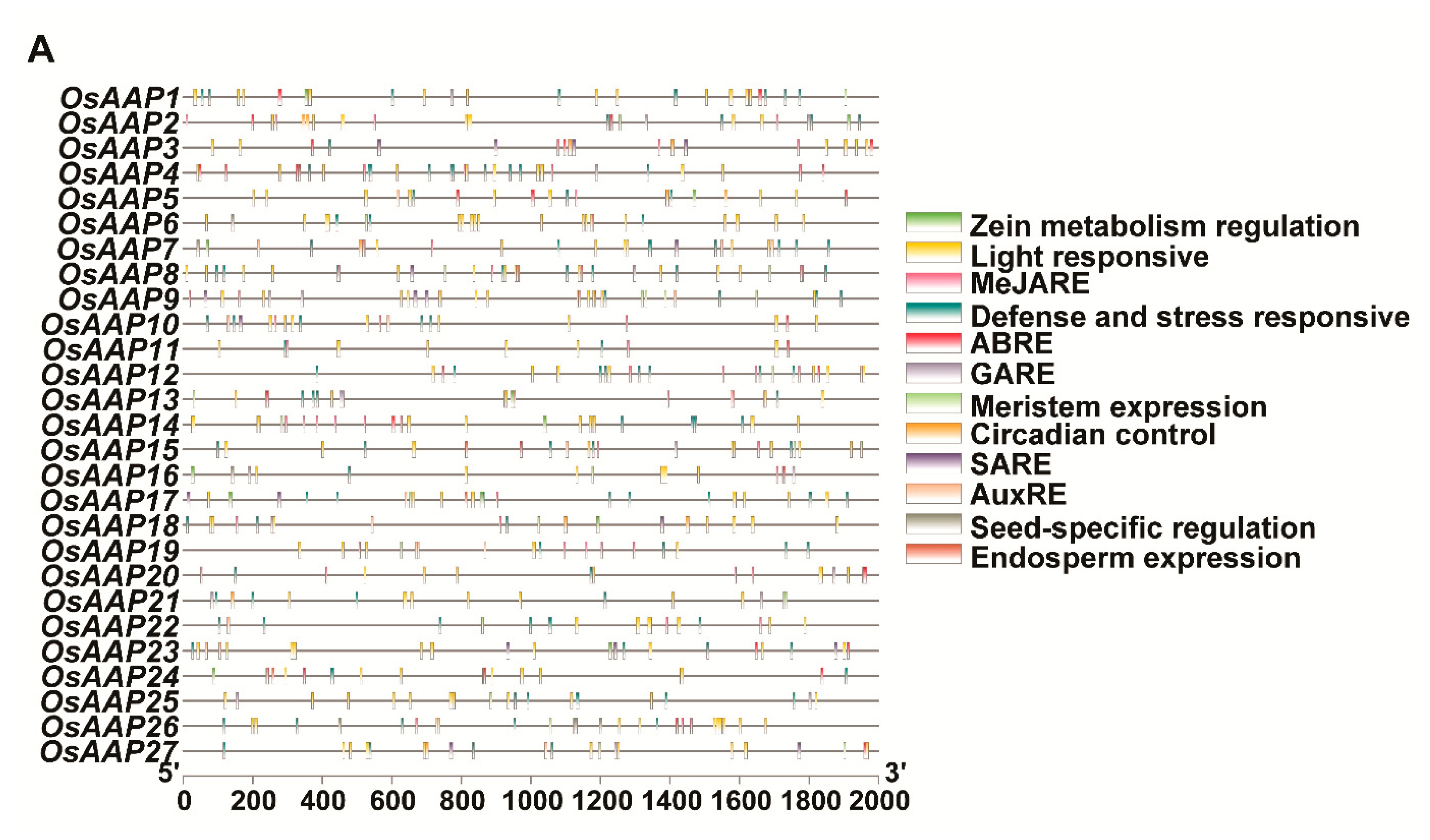 Agronomy 13 02629 g008a Agronomy 13 02629 g008a