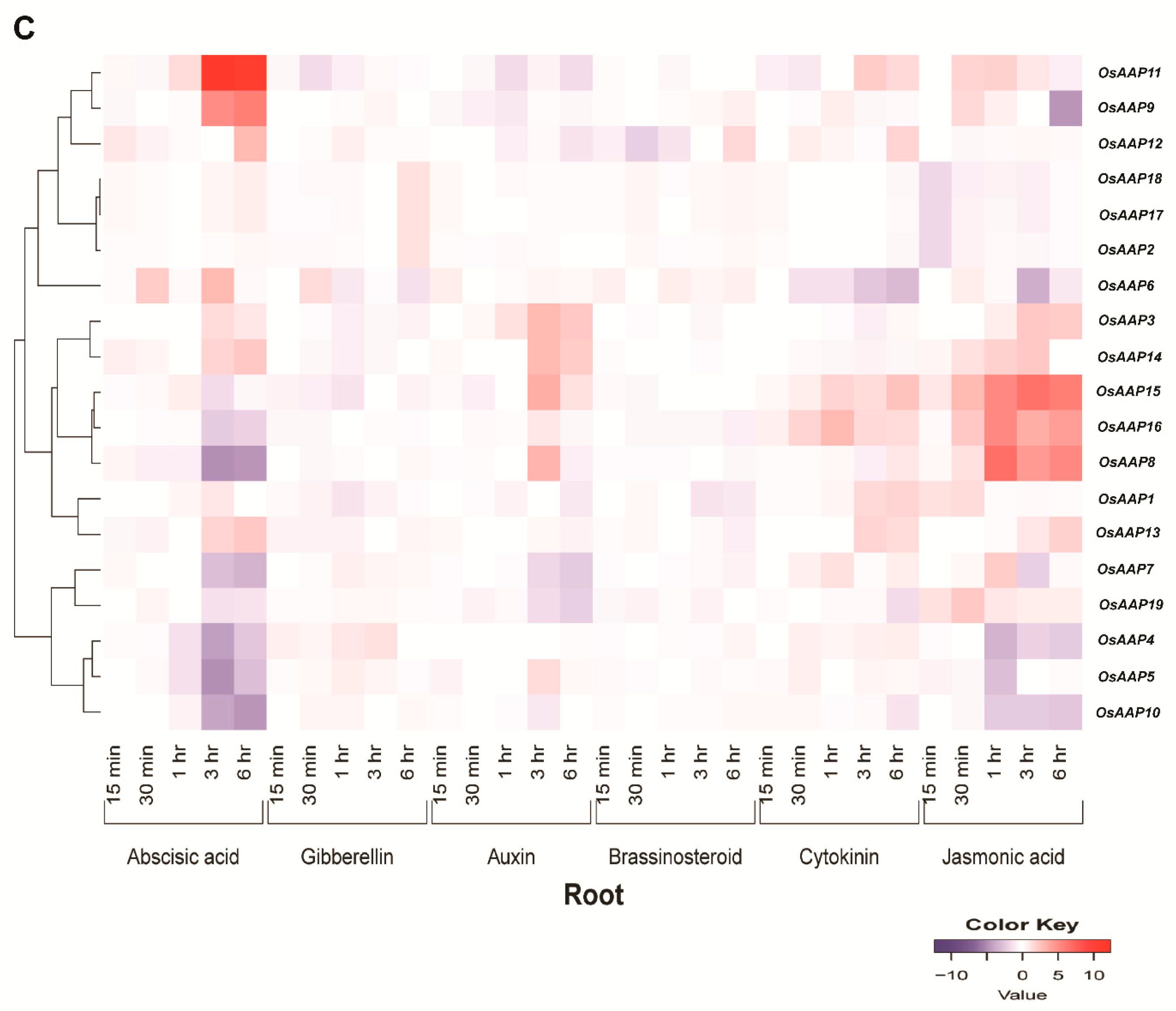 Agronomy 13 02629 g009b Agronomy 13 02629 g009b