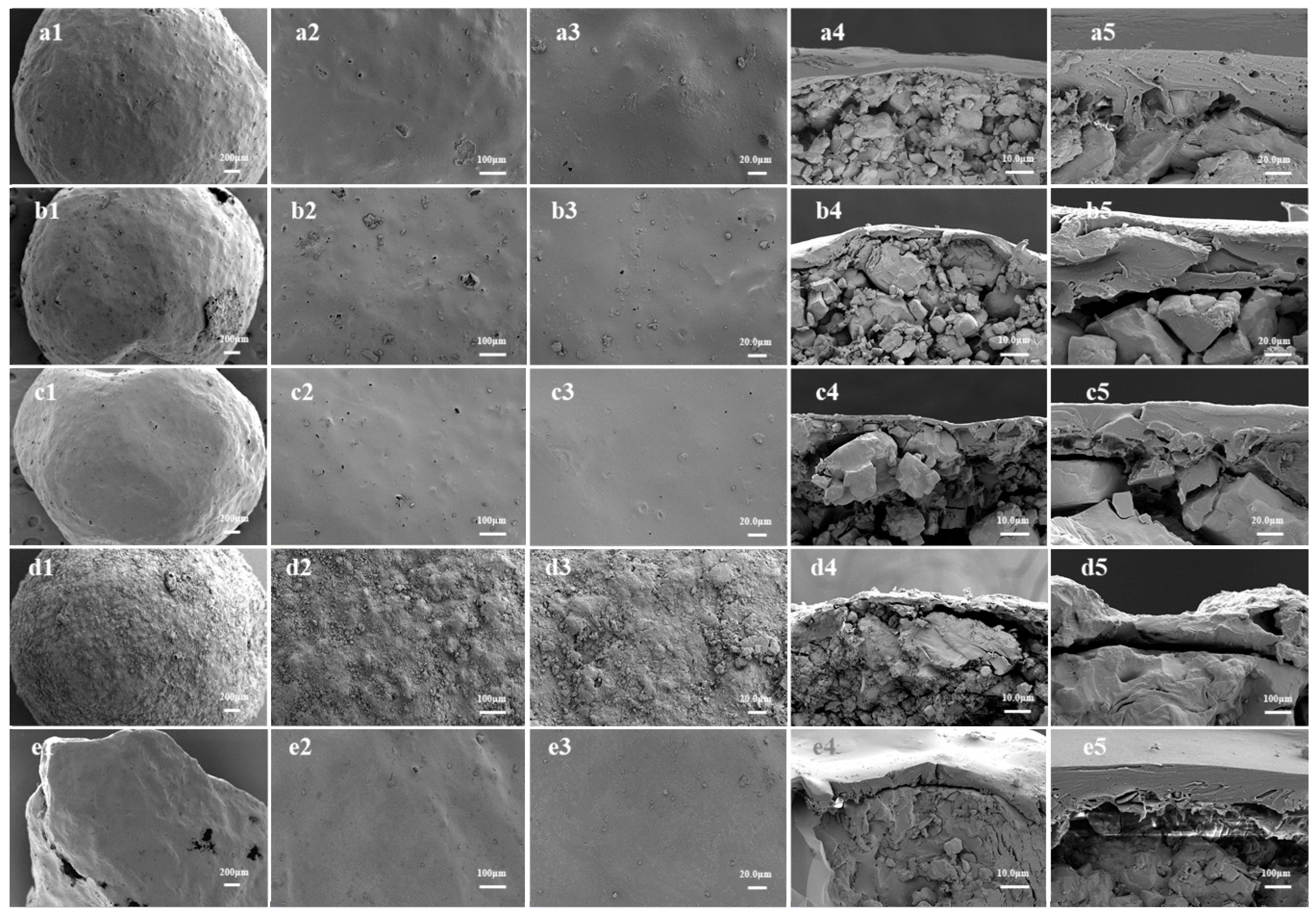 Agronomy 13 02641 g011 Agronomy 13 02641 g011