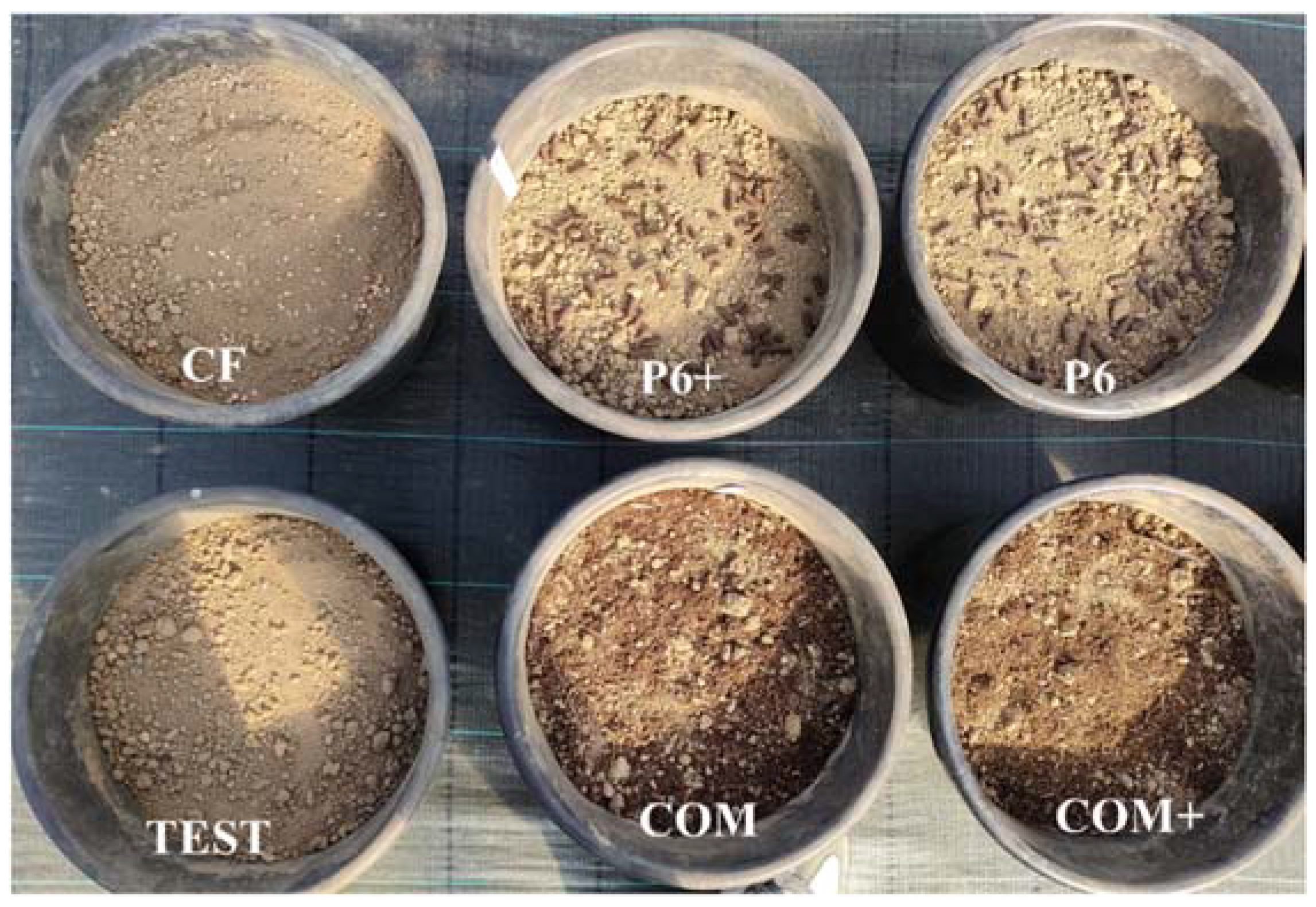 Agronomy 13 02654 g001