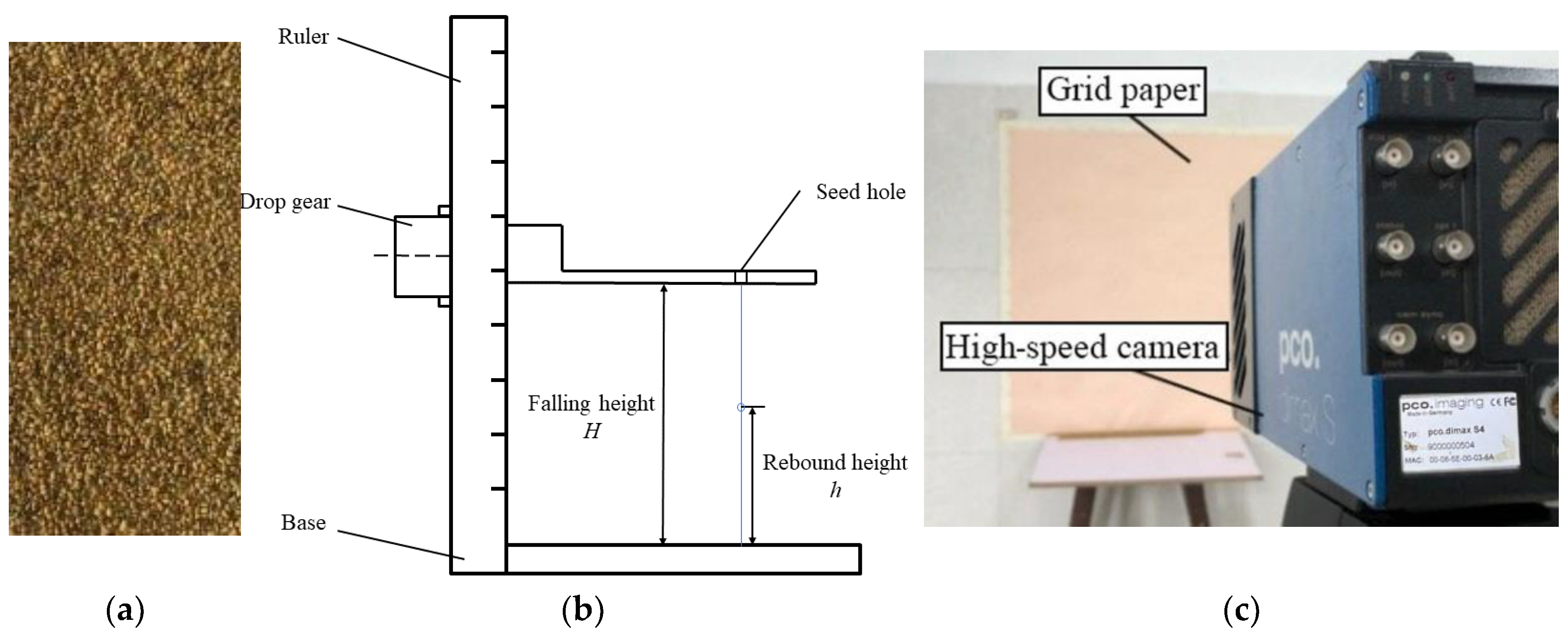 Agronomy 13 02670 g002