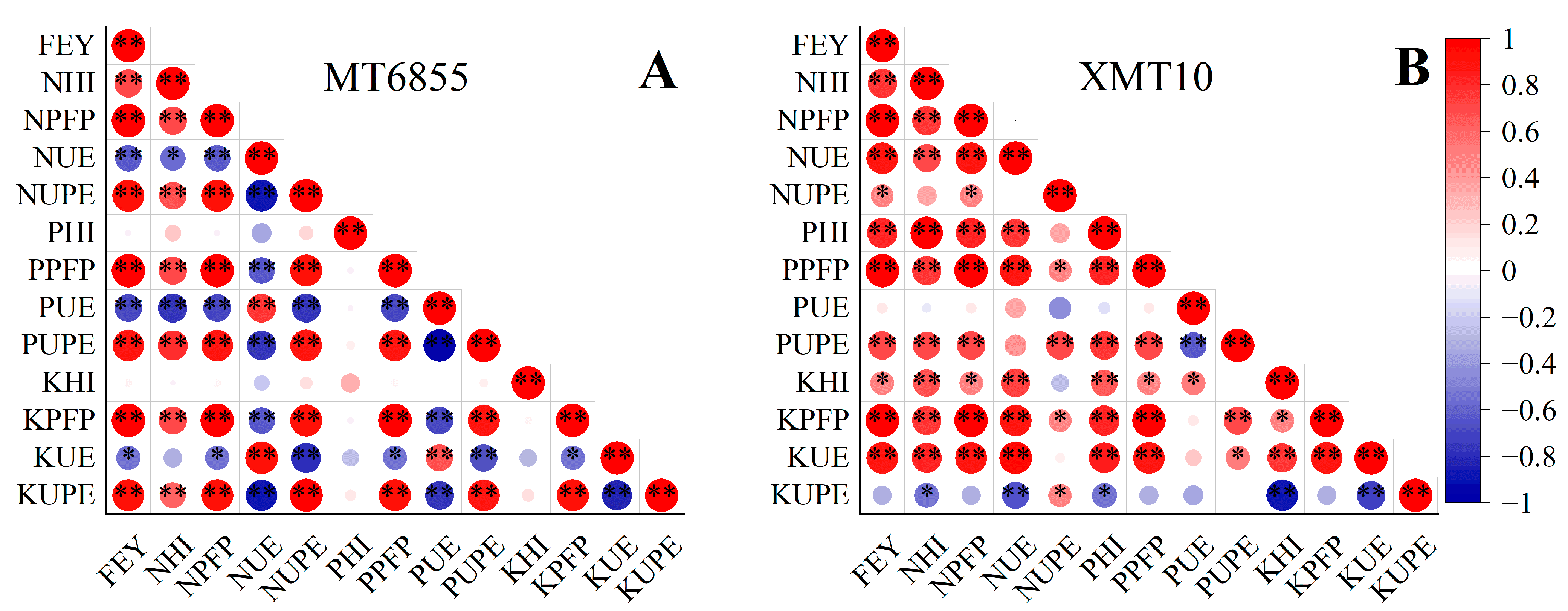 Agronomy 13 02672 g005