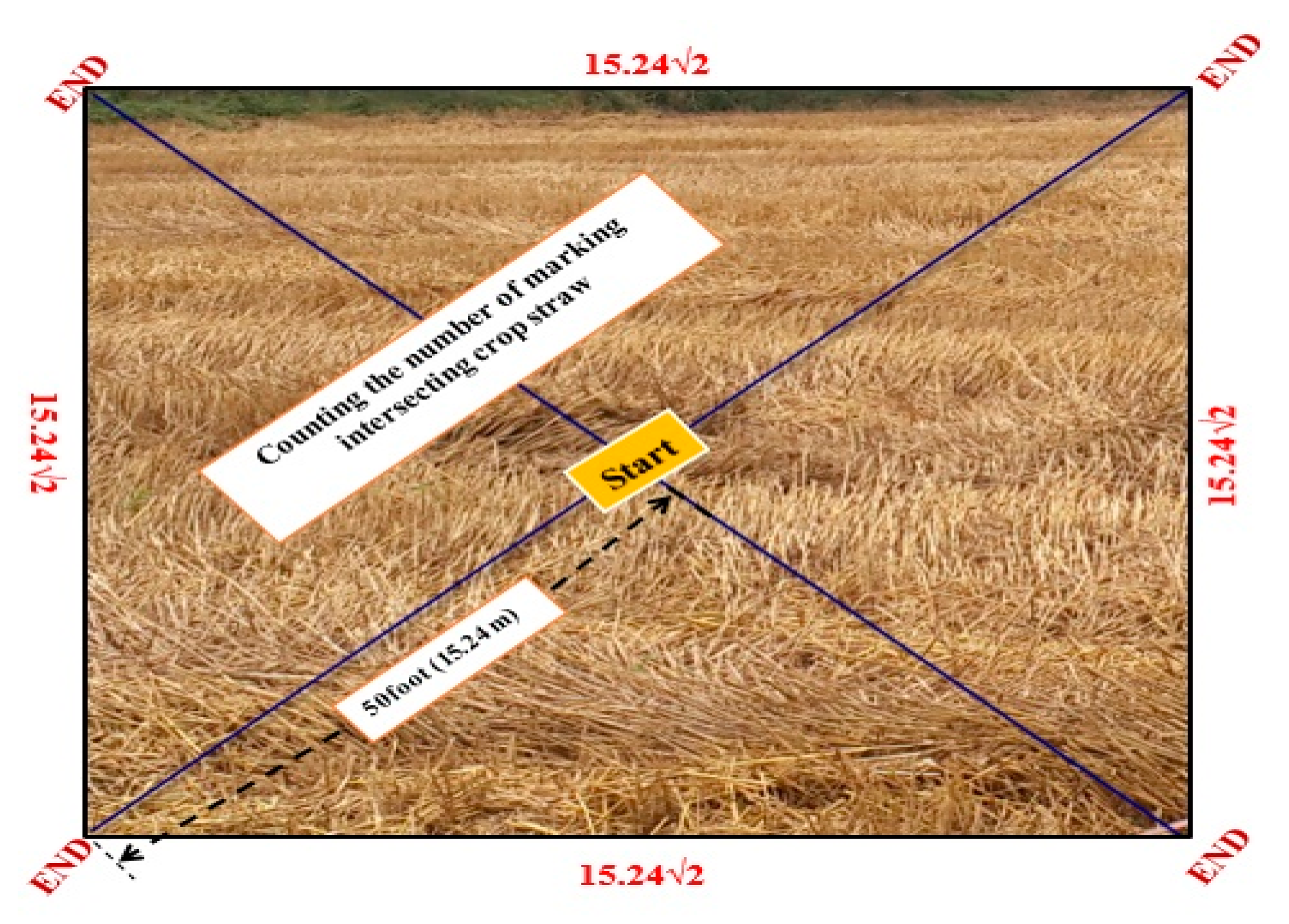 Agronomy 13 02691 g002 Agronomy 13 02691 g002