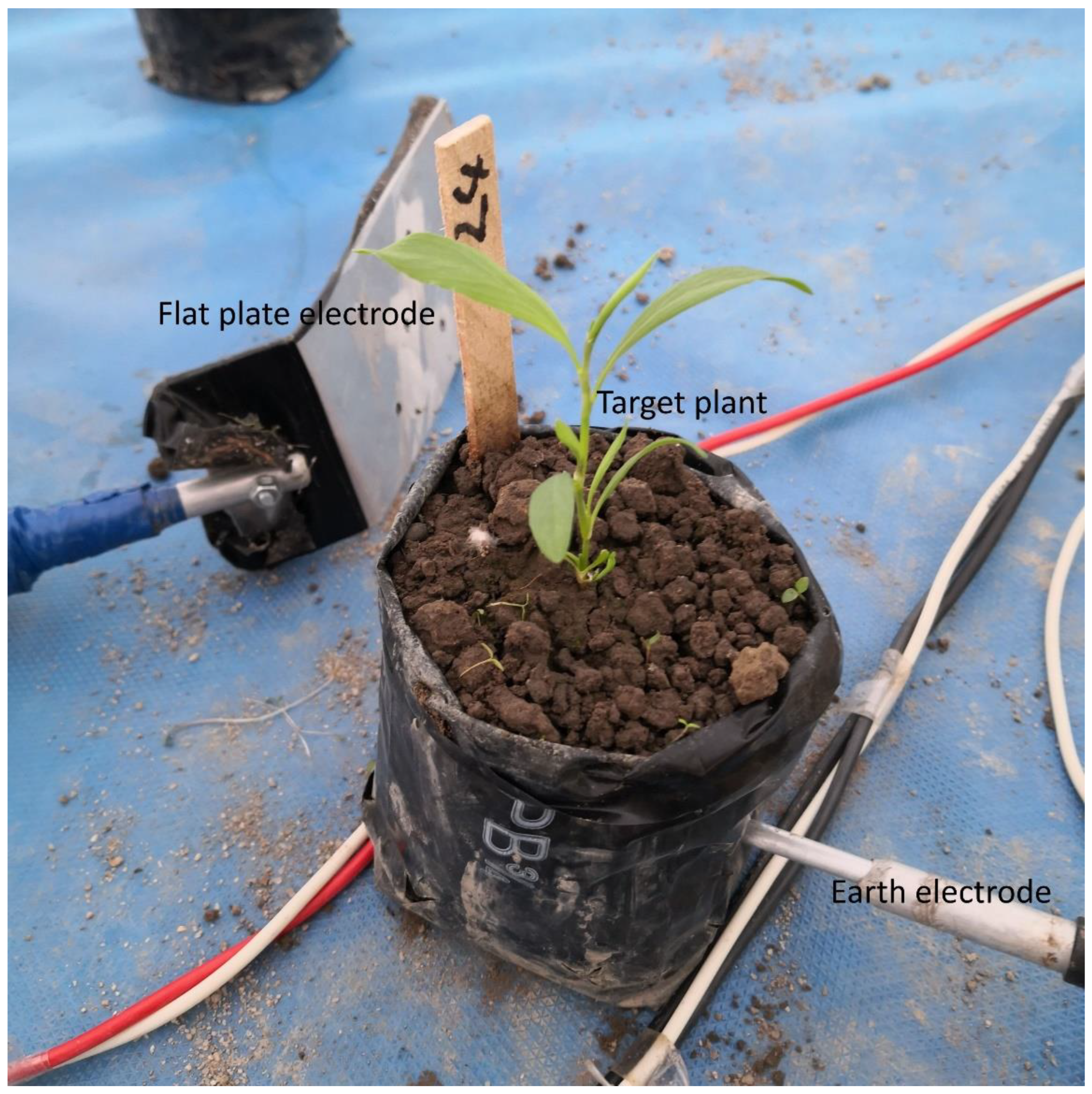 Agronomy 13 02694 g001