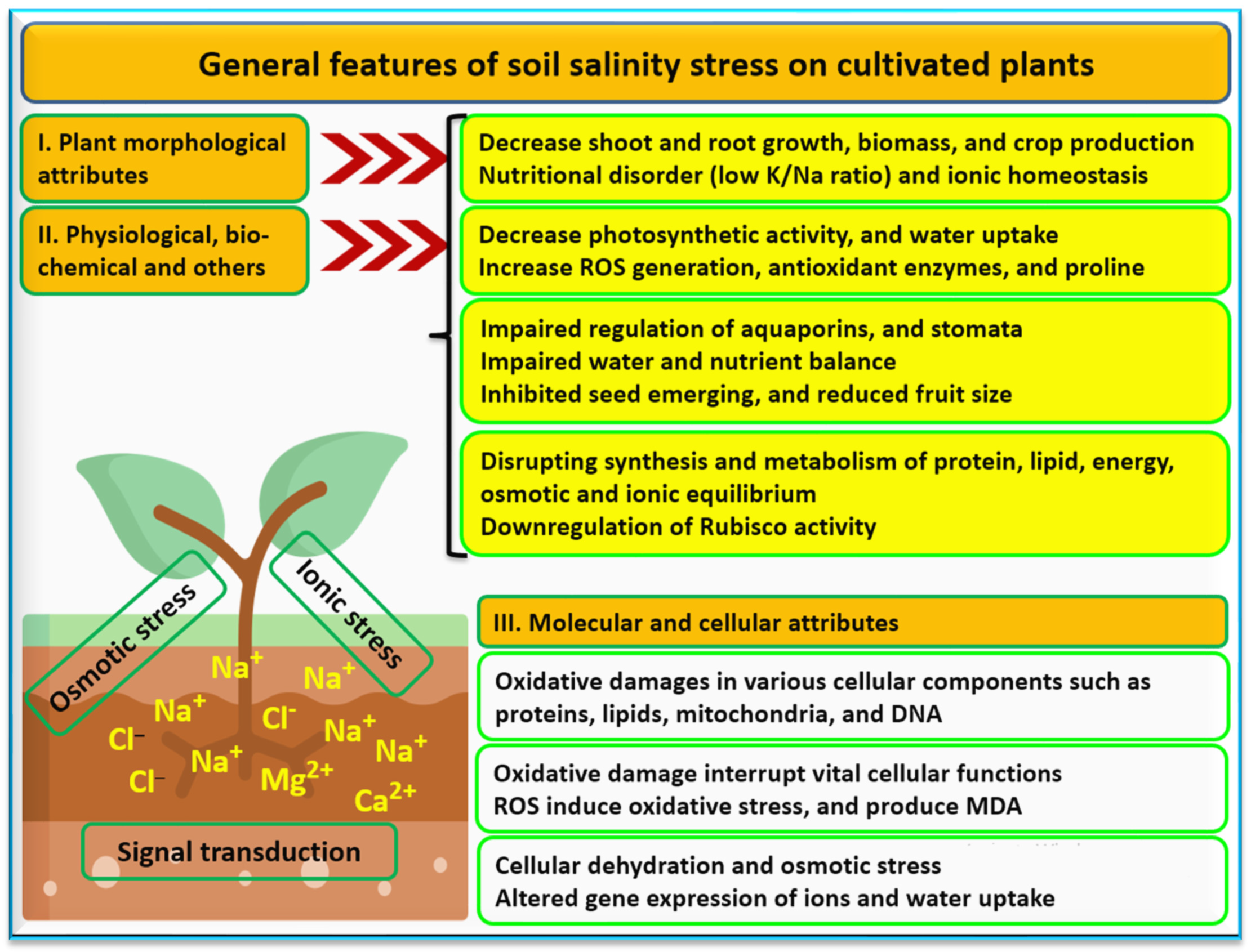 Agronomy 13 02695 g001 Agronomy 13 02695 g001