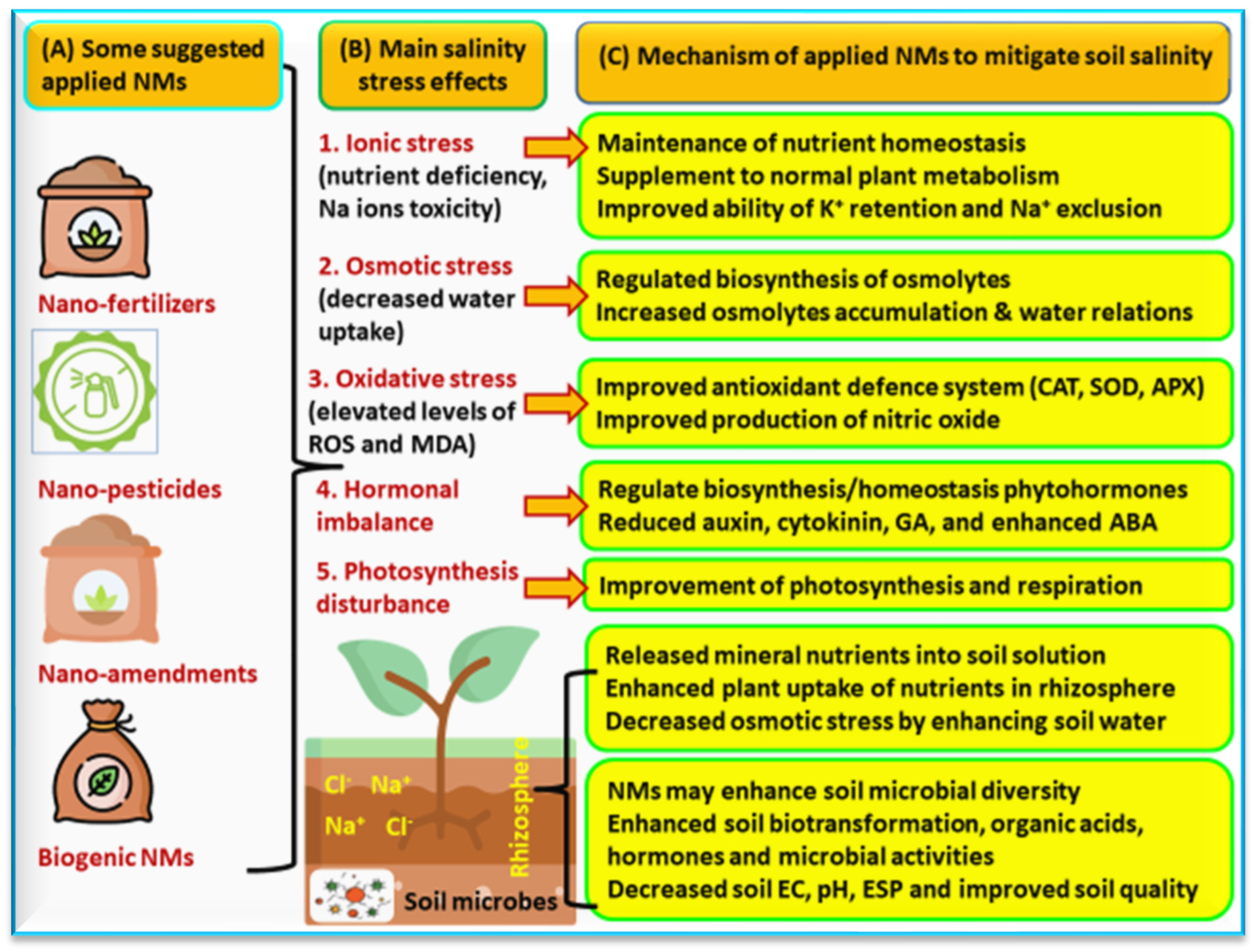 Agronomy 13 02695 g006 Agronomy 13 02695 g006
