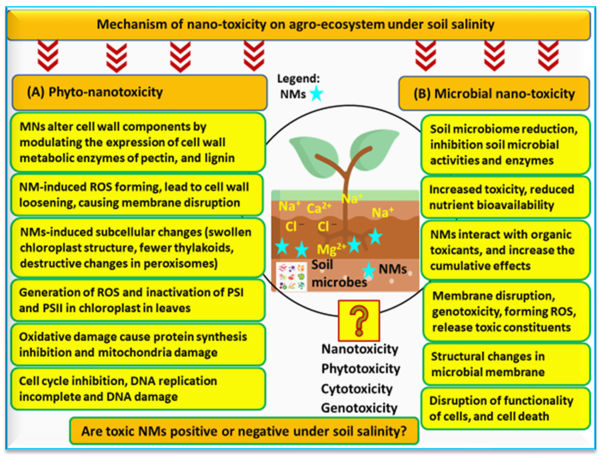 Agronomy 13 02695 g008 Agronomy 13 02695 g008