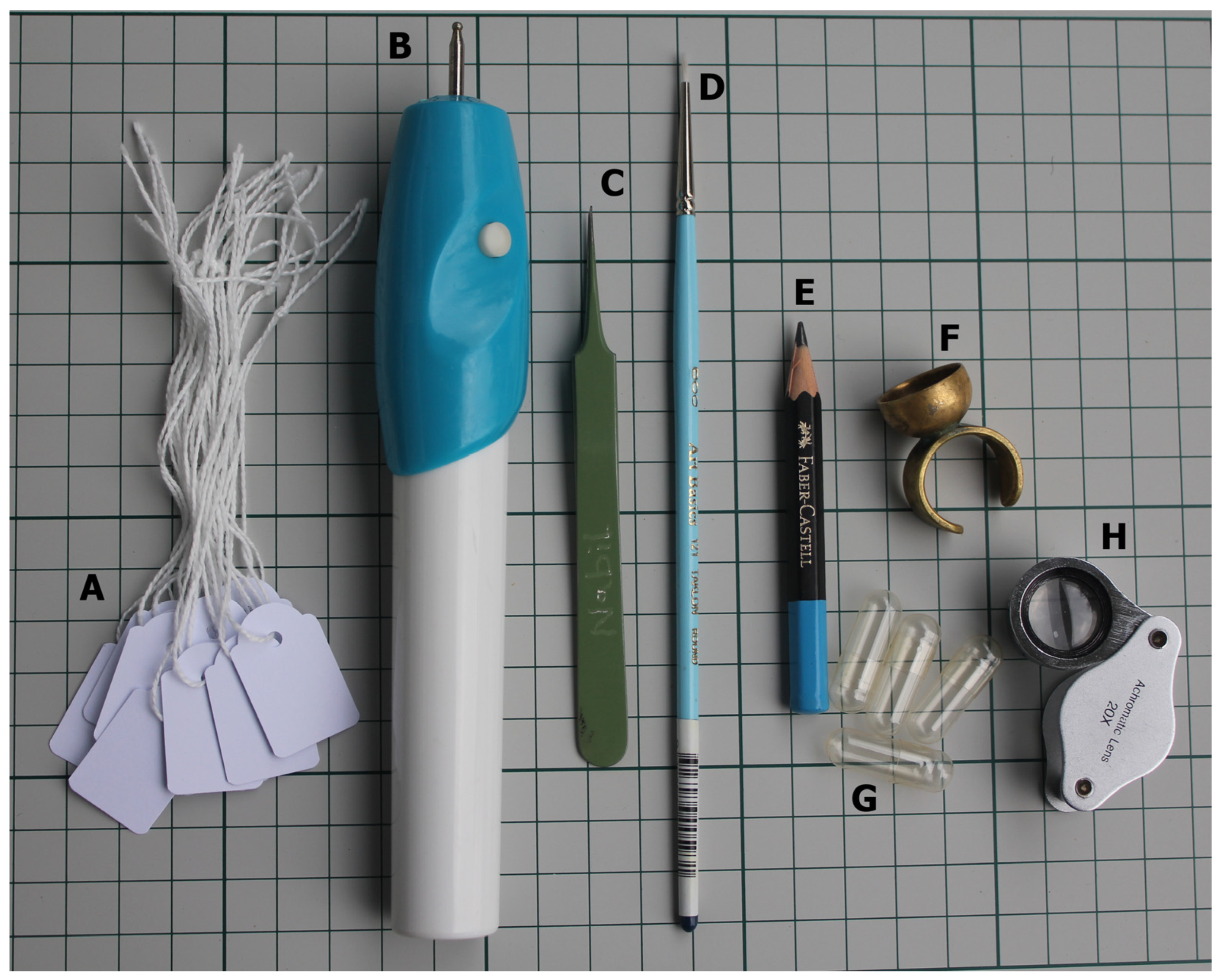 Agronomy 13 02701 g001 Agronomy 13 02701 g001