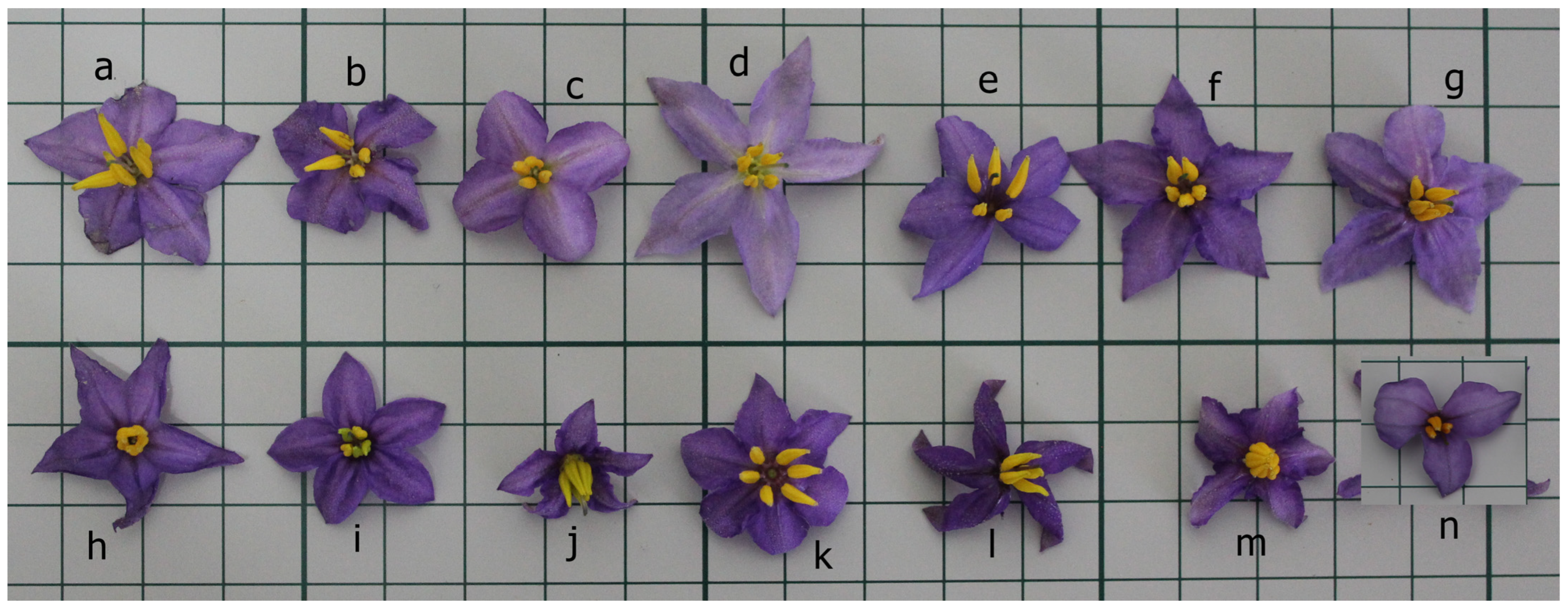 Agronomy 13 02701 g002 Agronomy 13 02701 g002