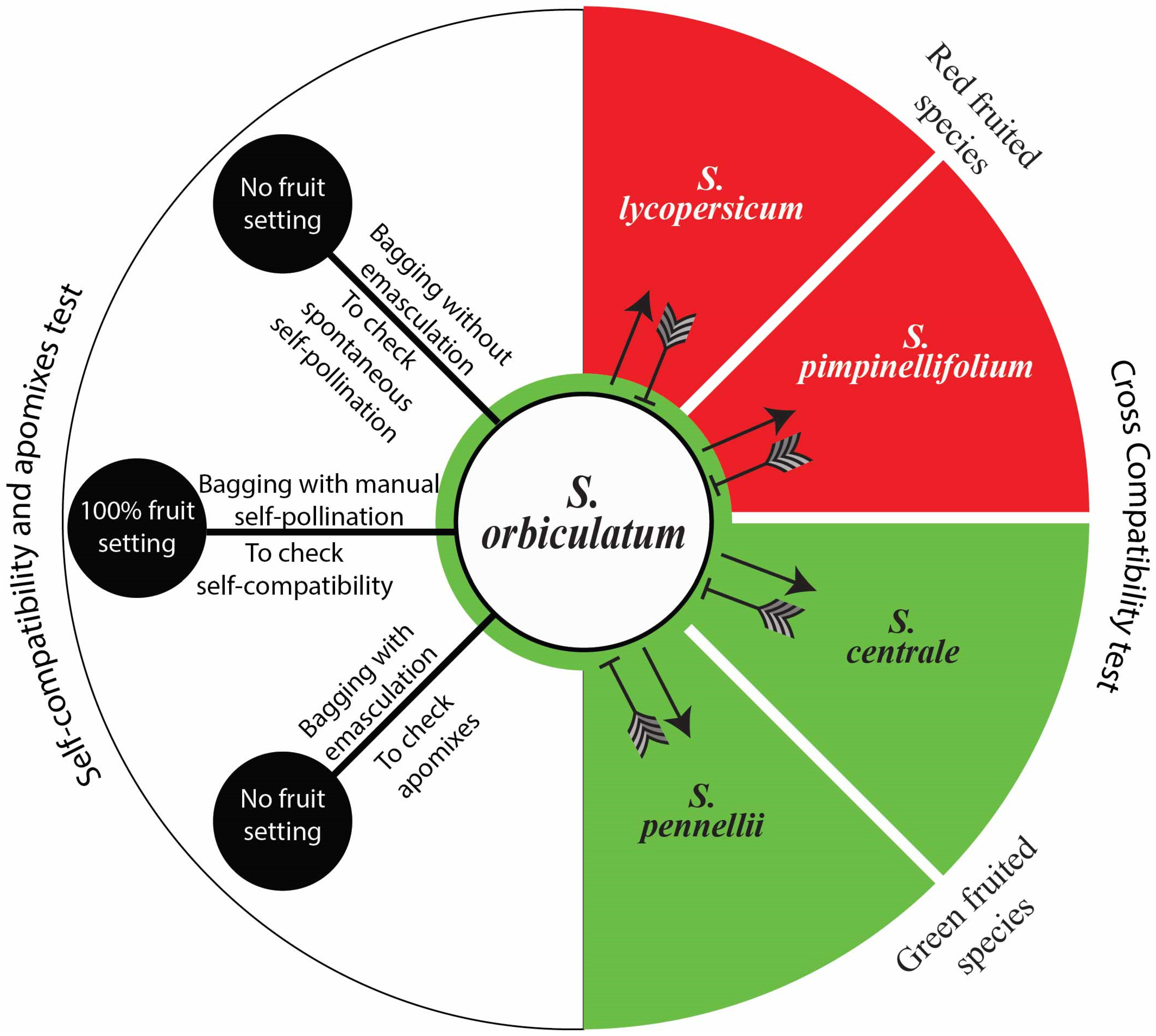 Agronomy 13 02701 g009 Agronomy 13 02701 g009