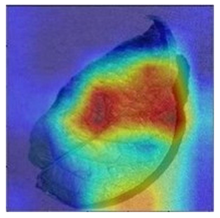 Agronomy 13 02702 i008