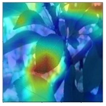 Agronomy 13 02702 i010