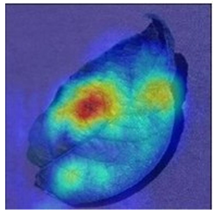 Agronomy 13 02702 i013