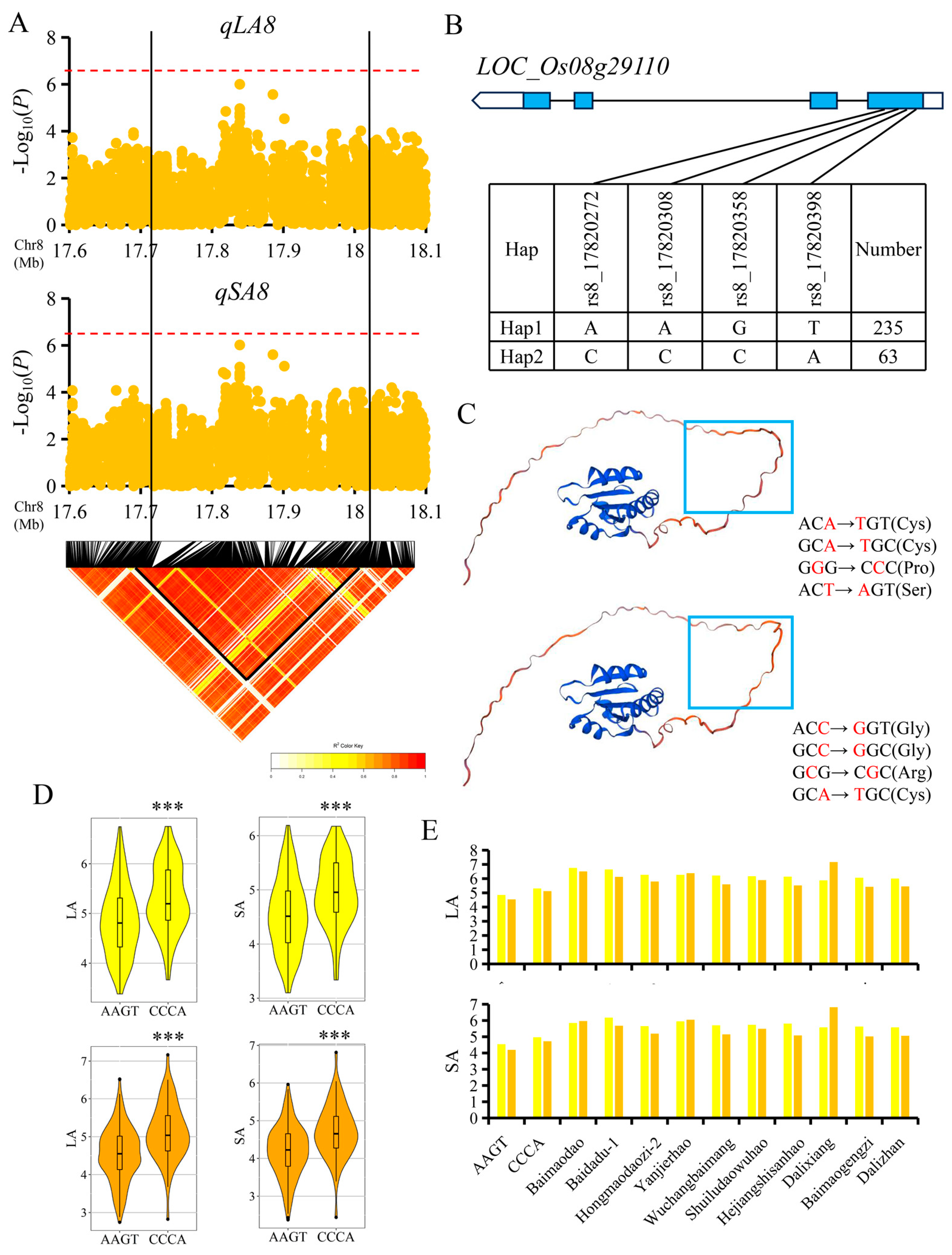 Agronomy 13 02711 g004 Agronomy 13 02711 g004