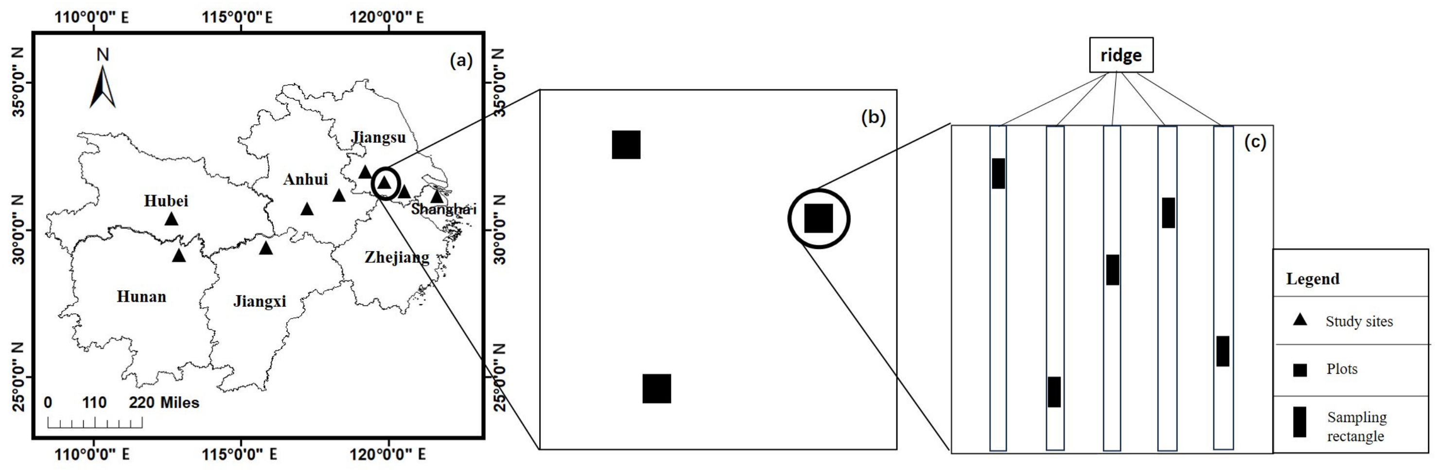 Agronomy 13 02718 g001