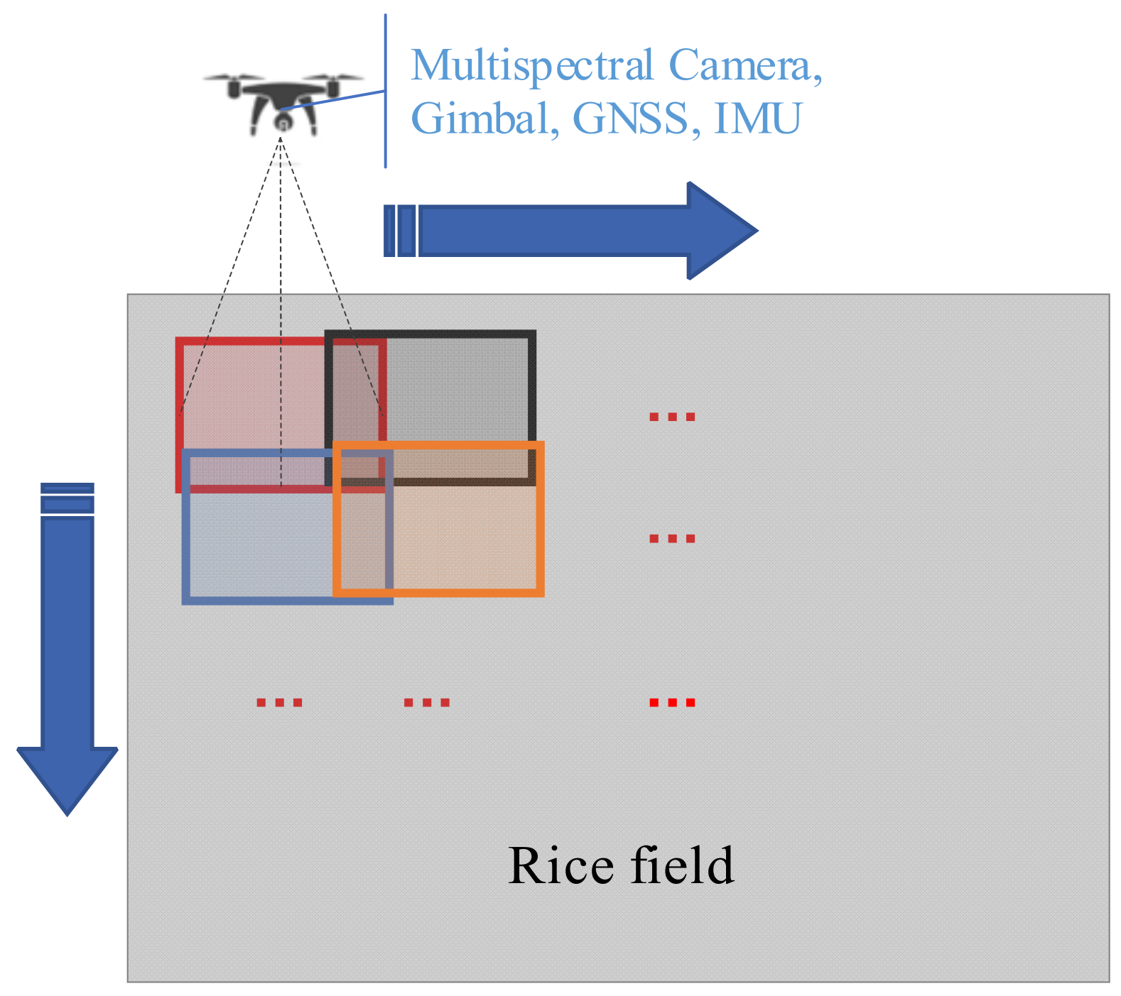 Agronomy 13 02731 g003