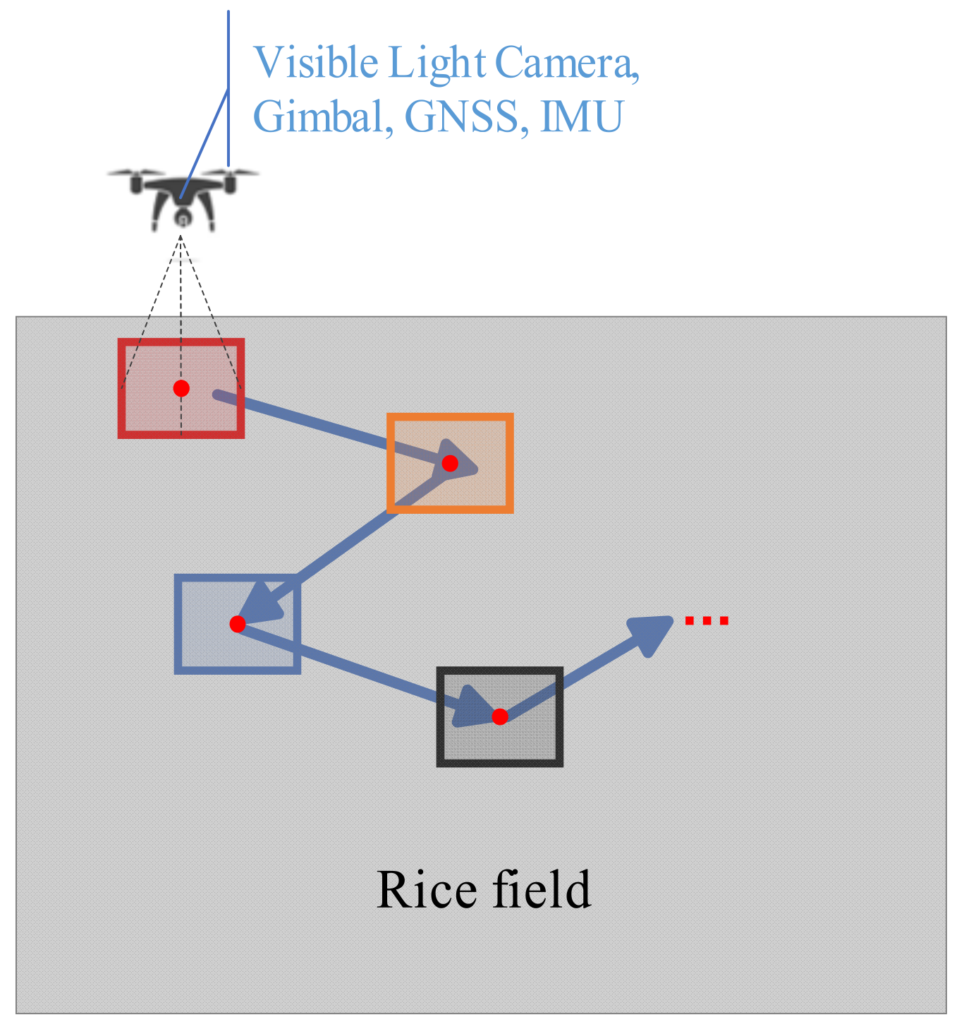 Agronomy 13 02731 g012