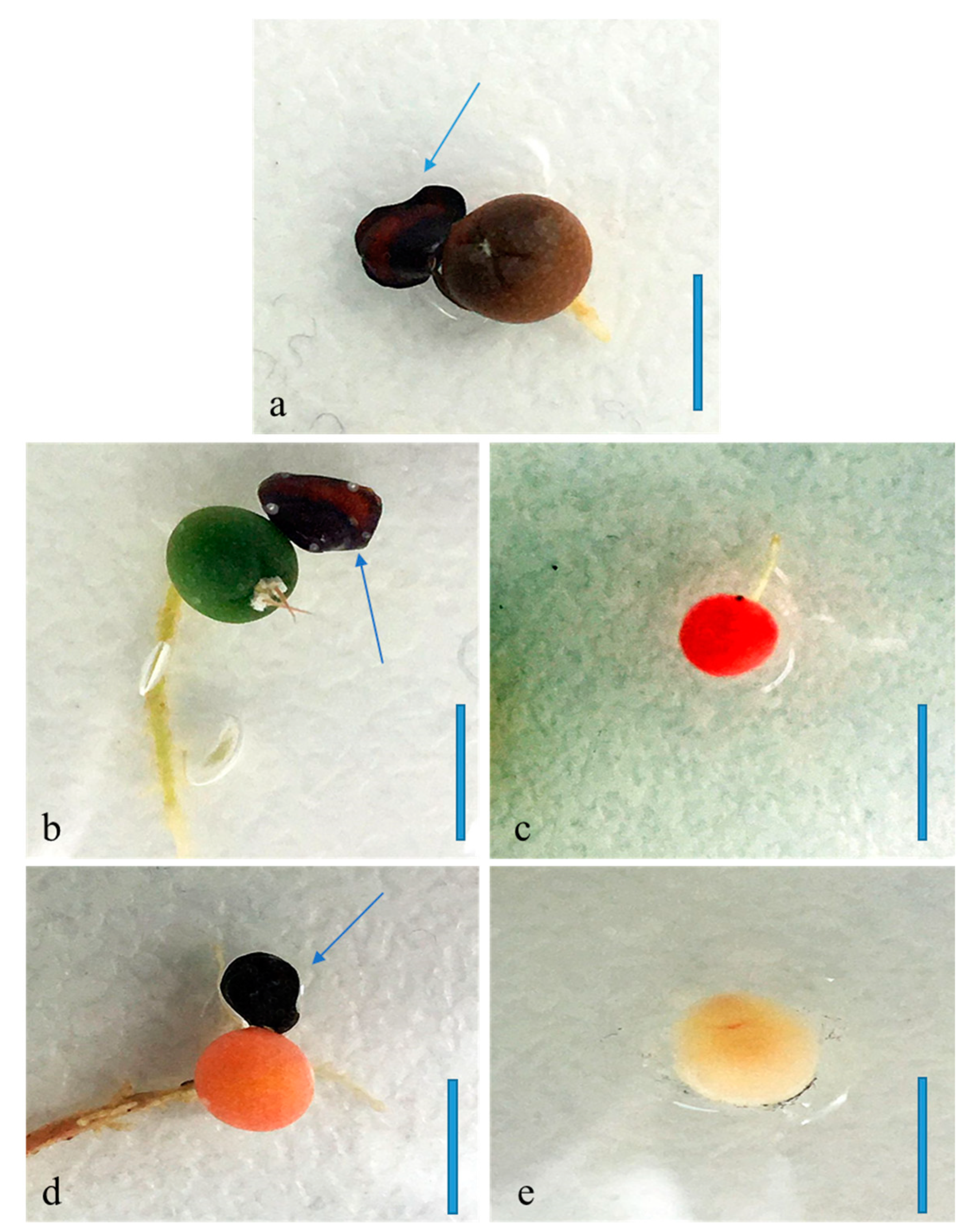 Agronomy 13 02732 g003