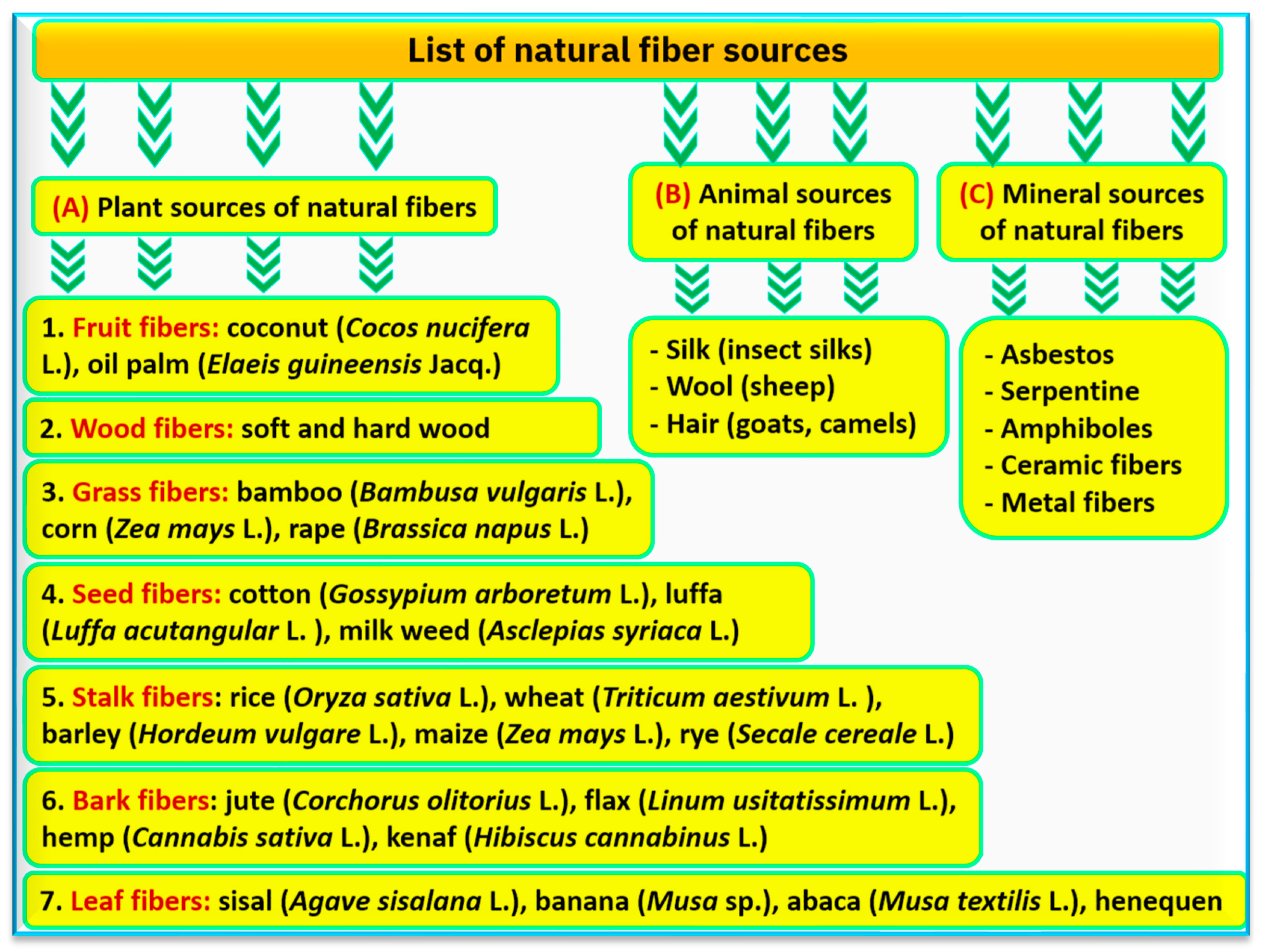 Agronomy 13 02734 g001