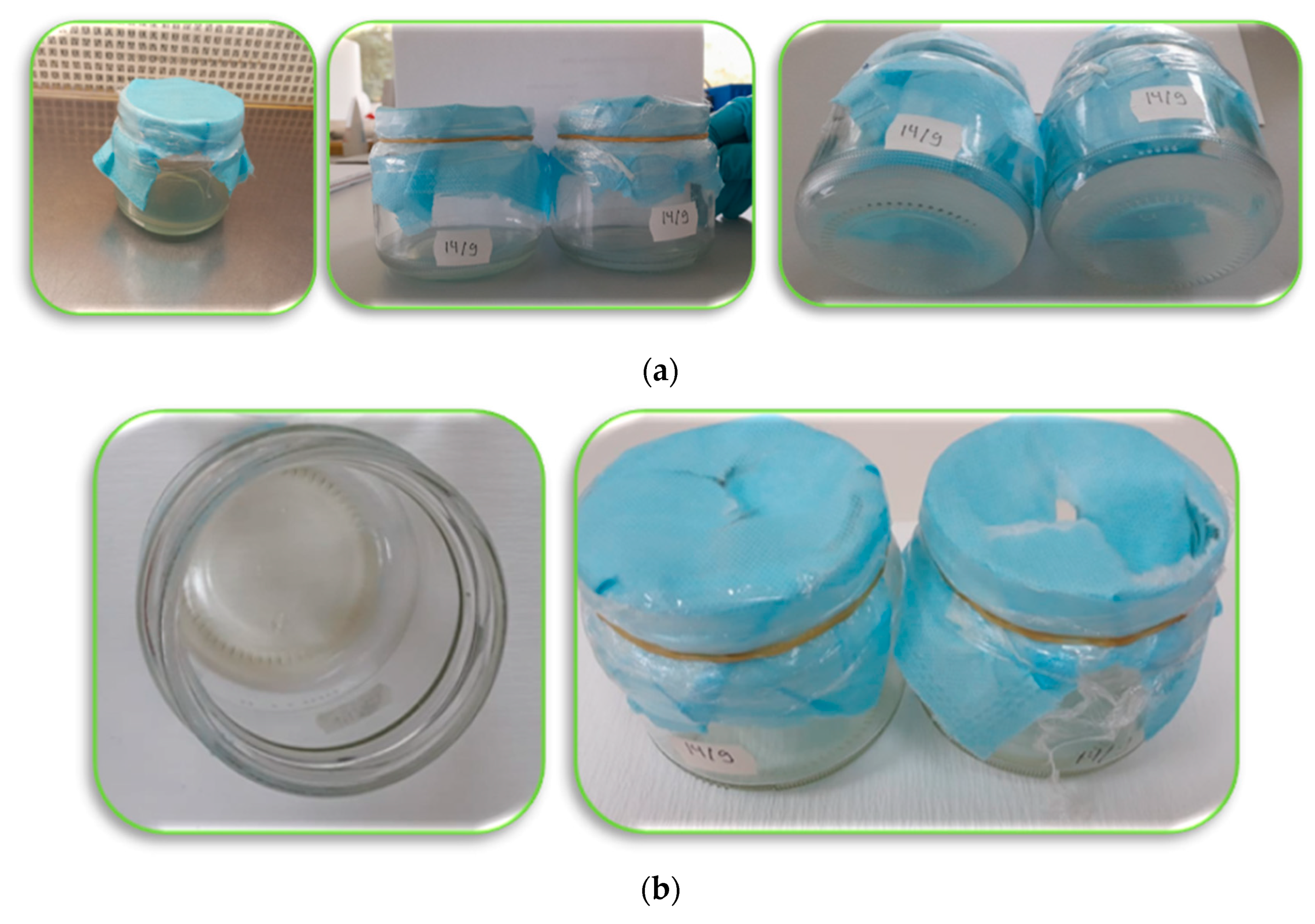 Agronomy 13 02734 g013a