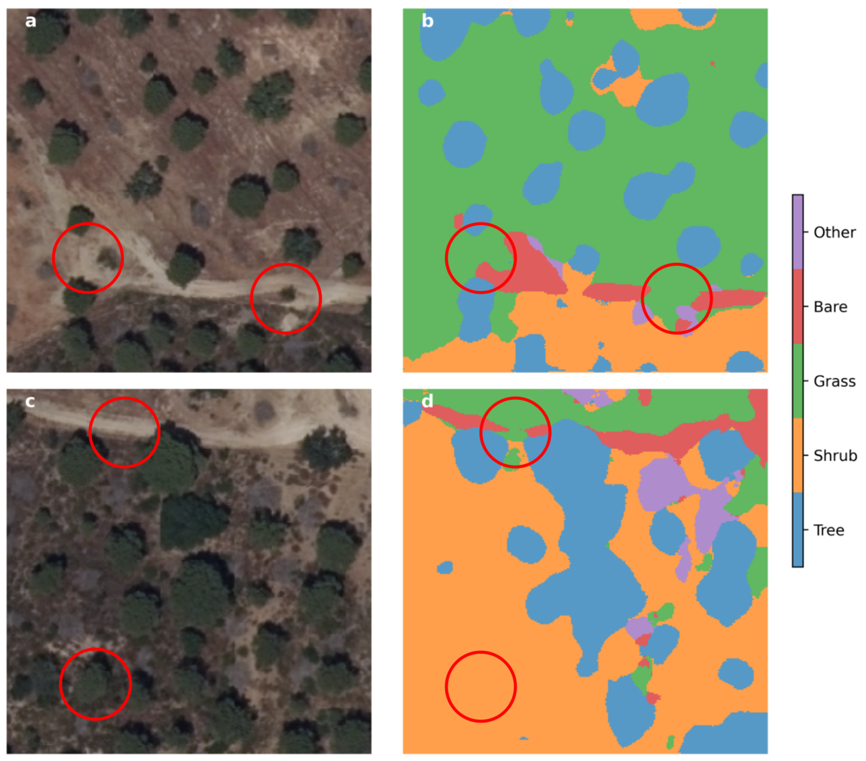 Agronomy 13 02741 g003