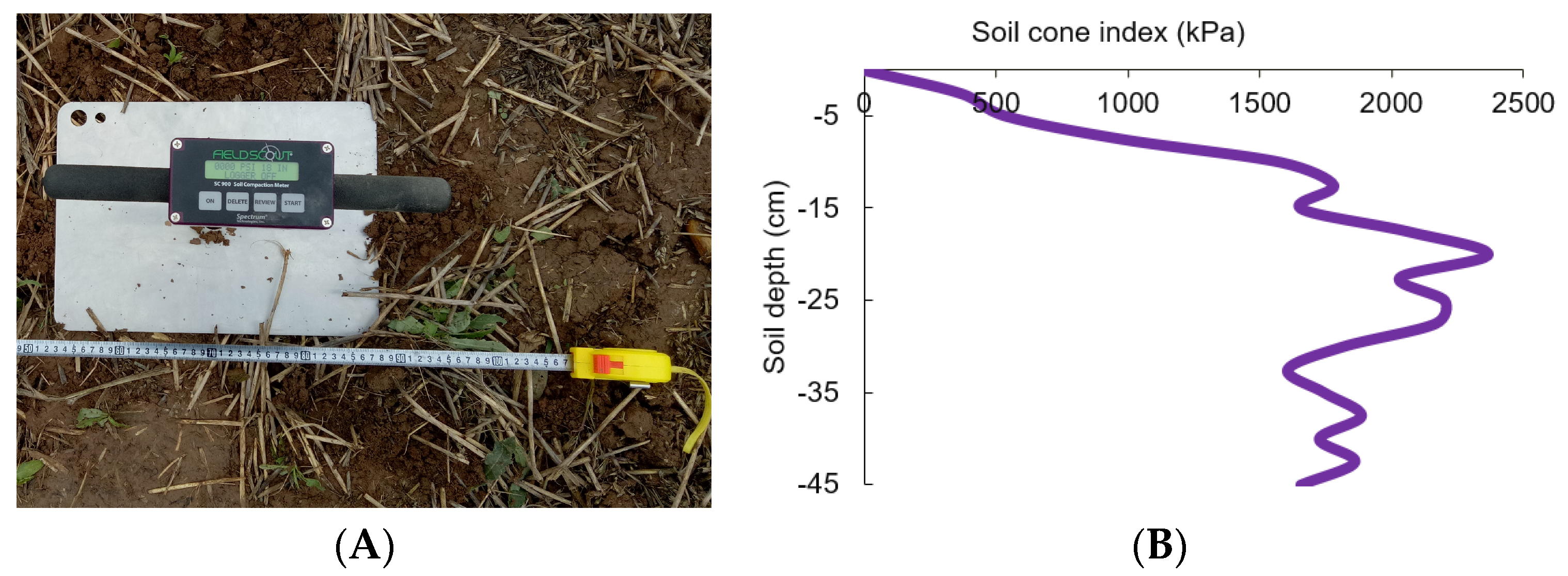 Agronomy 13 02742 g001 Agronomy 13 02742 g001