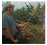 Agronomy 13 02753 i004