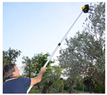 Agronomy 13 02753 i008